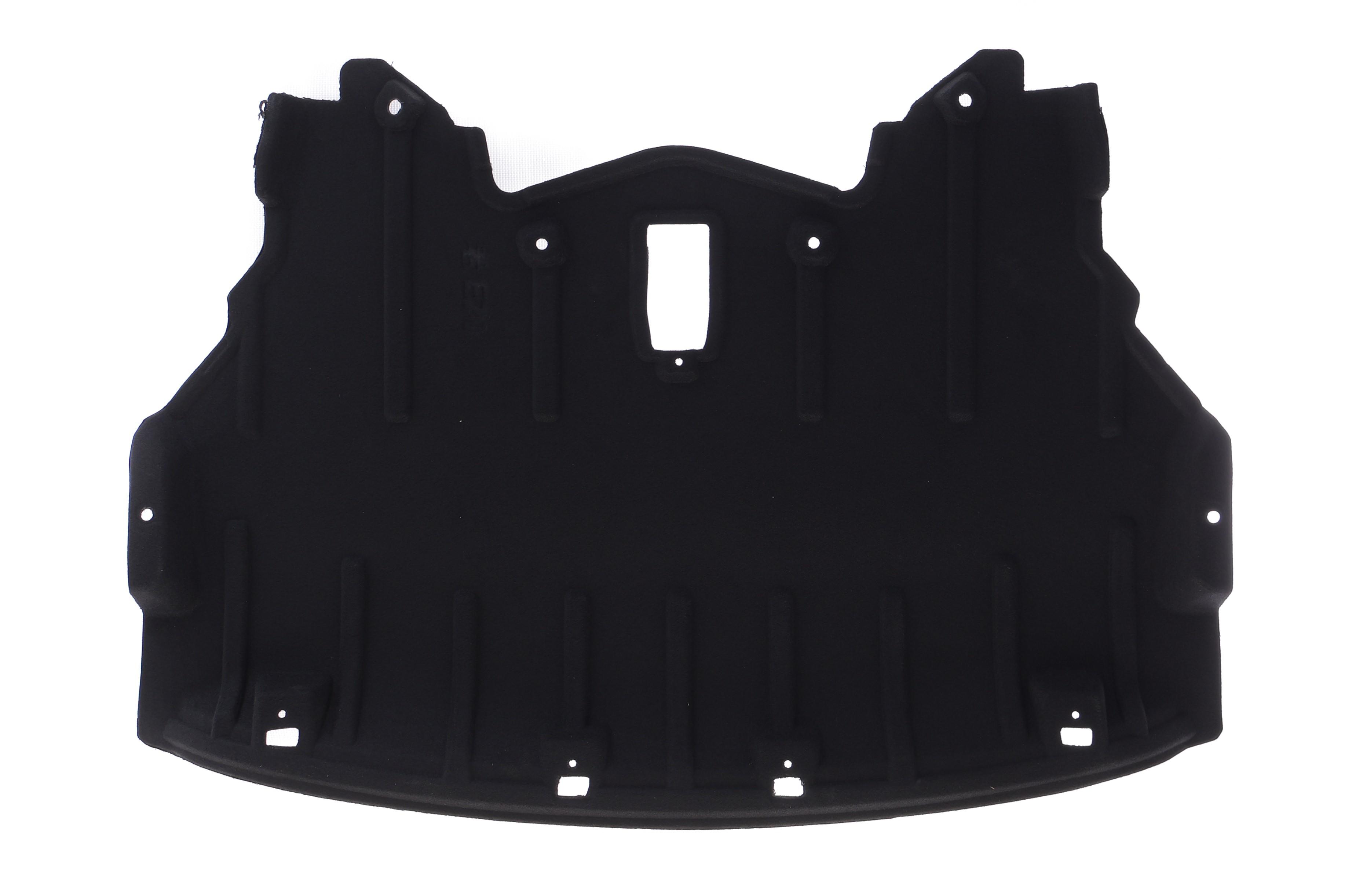 Захист двигуна BMW X5 (E70) 06-10