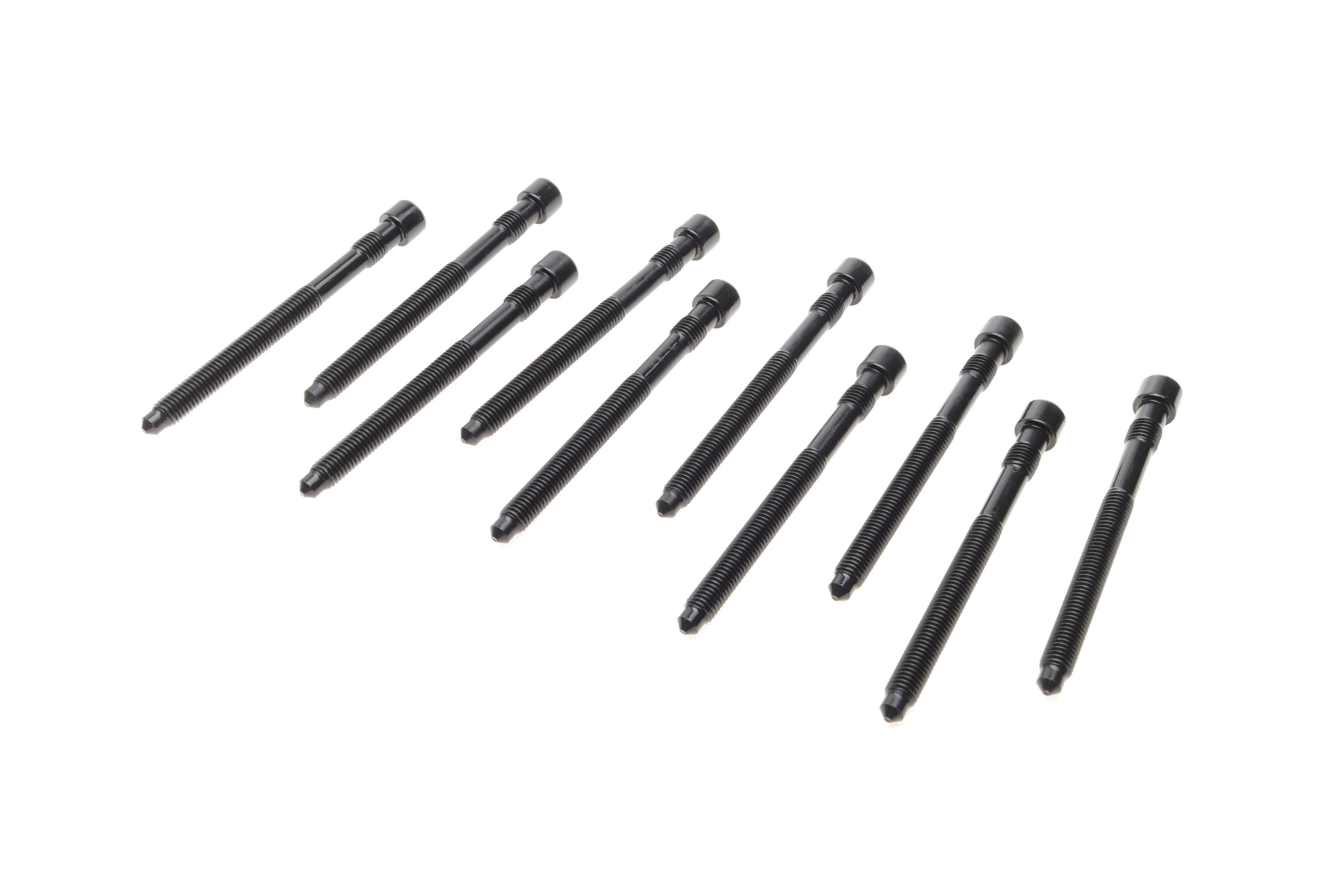 Болты головки (к-кт 10шт.) Audi A4/A6/A8/VW Touareg 3.7/4.2 98-08