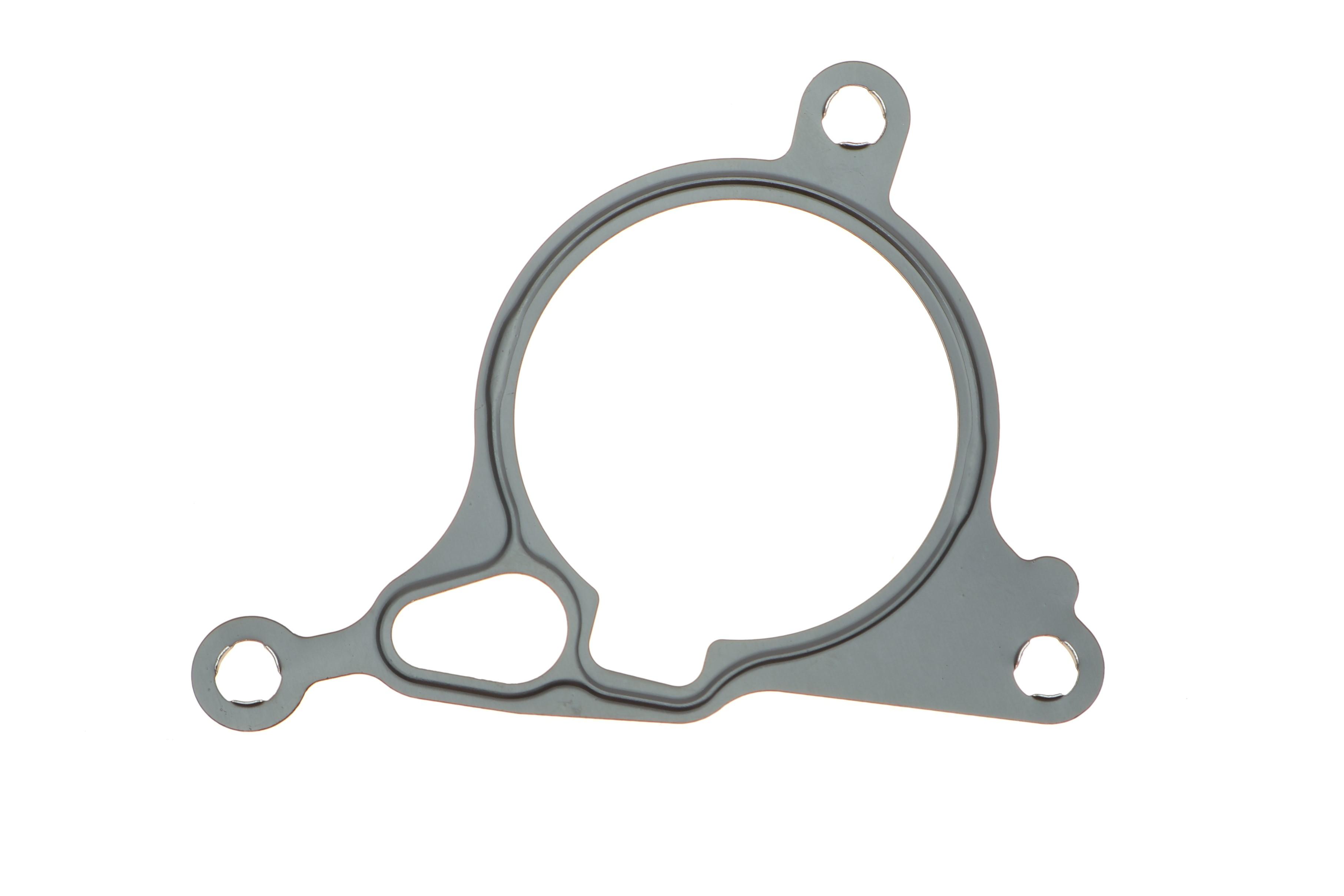 Прокладка насоса вакуумного VW Passat/Golf/Skoda Octavia 1.8/2.0TFSI 04-