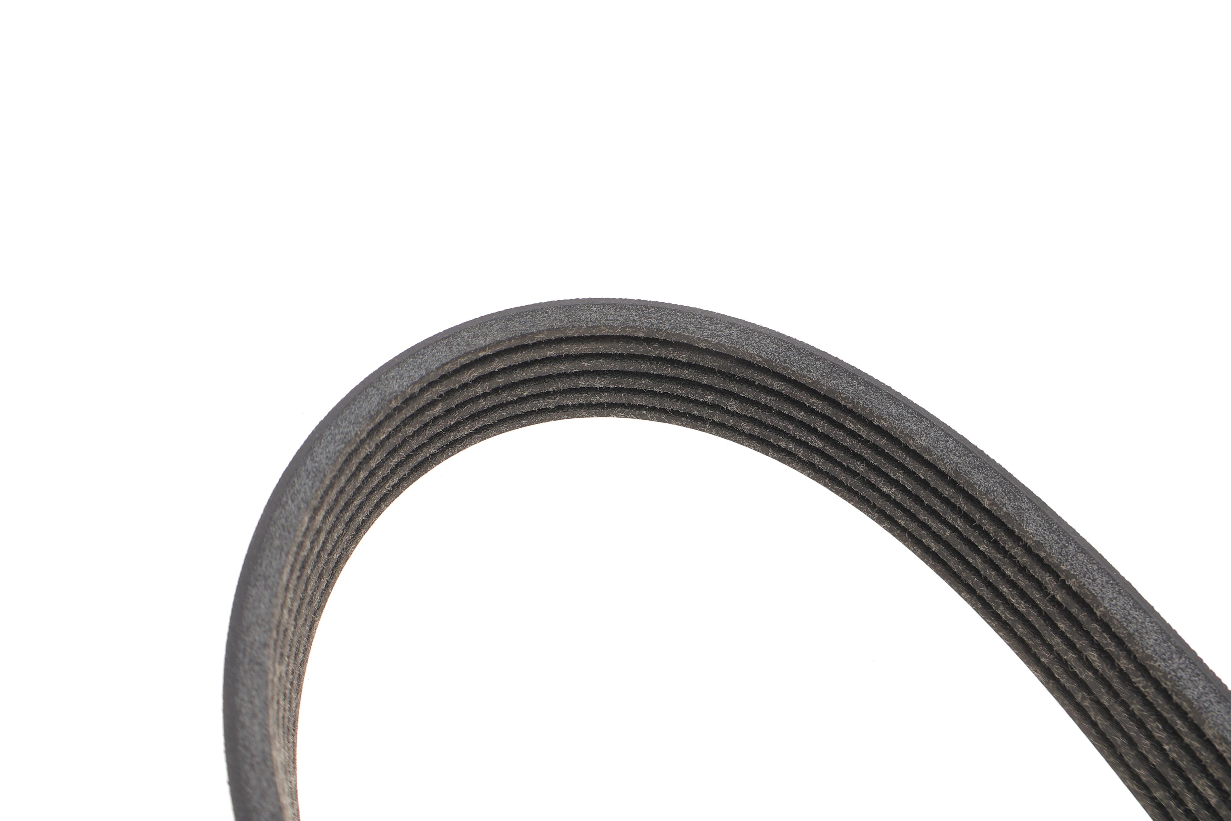 Ремінь генератора Chevrolet Lacetti/Nubira 2.0D 05-/Honda Civic IX 1.6/1.8 i-VTEC 11-16