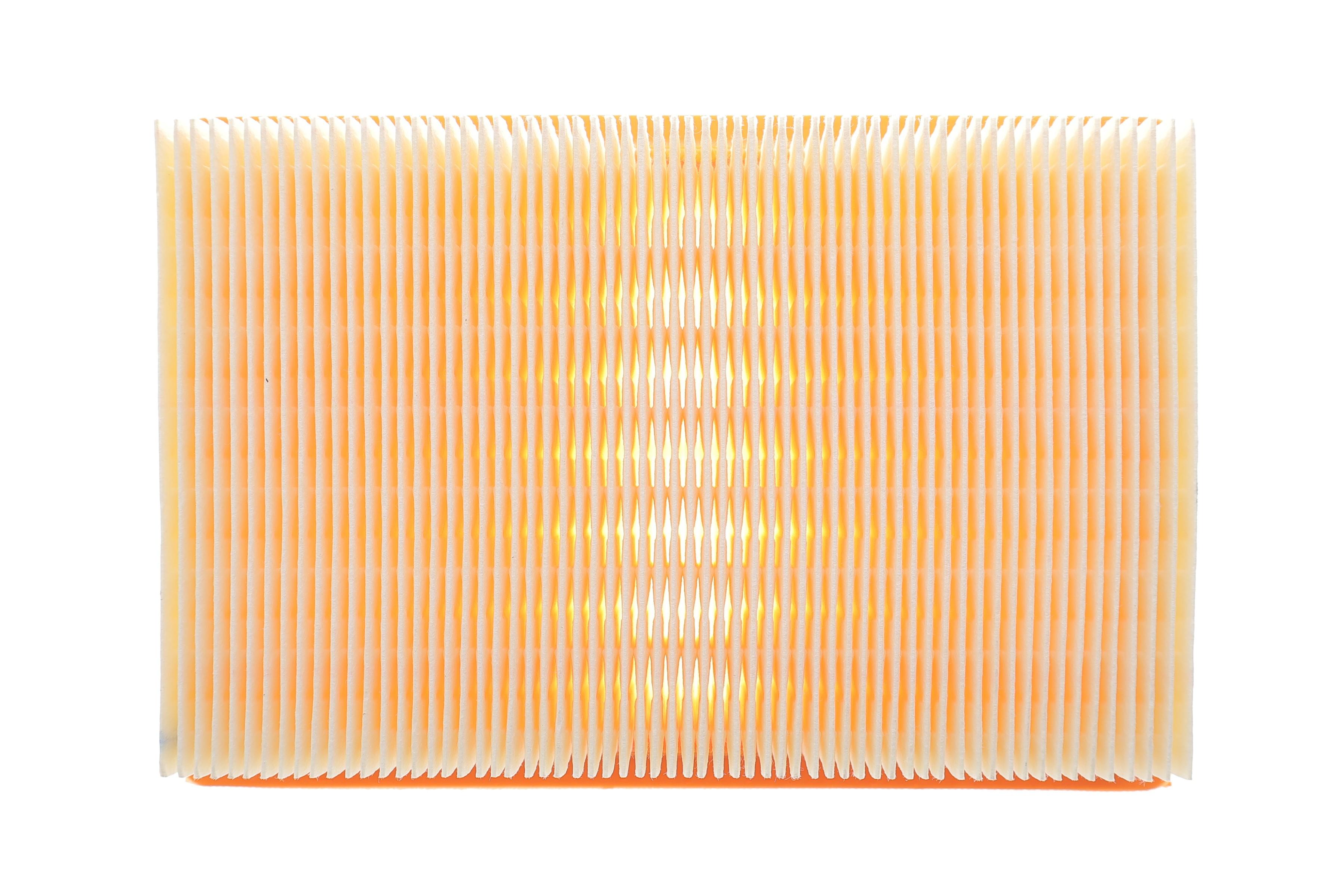 Фільтр повітряний Dacia Logan/Sandero/Renault Clio 1.0 TCe 19-