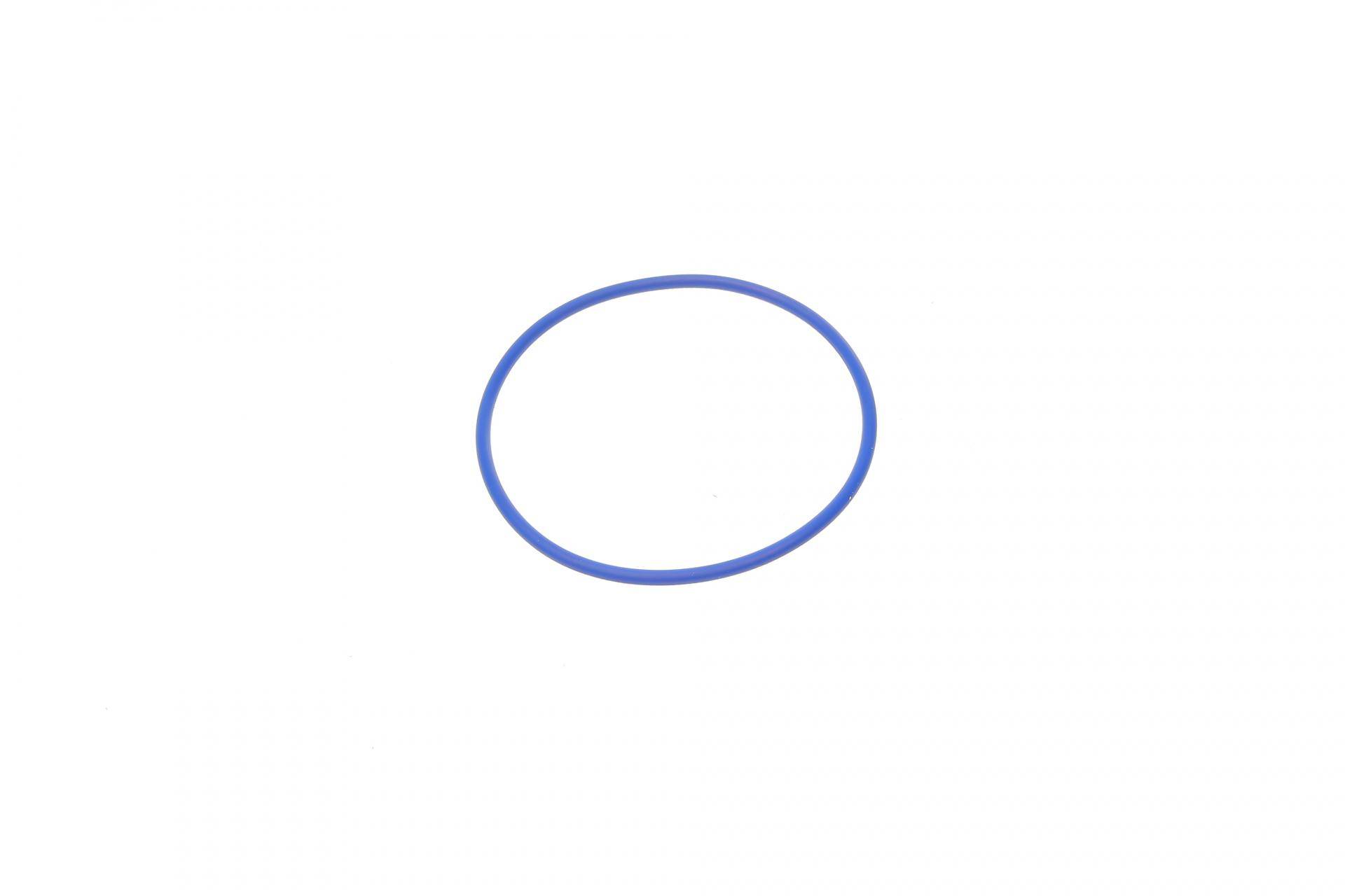 Фільтр паливний Citroen C5/Peugeot 407 2.7HDI 04-