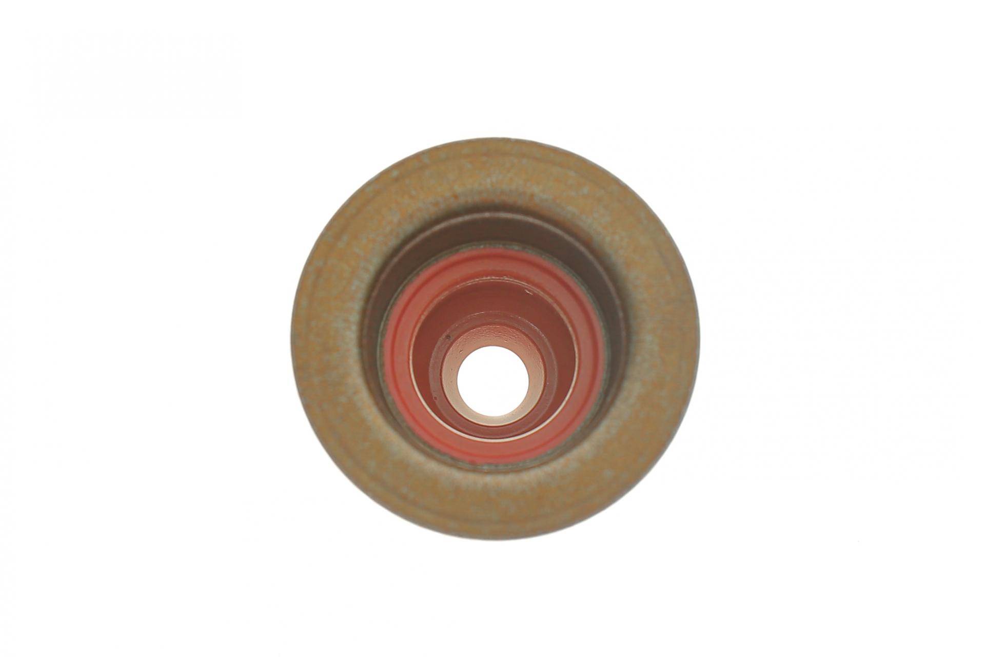 Сальник клапана (впуск/випуск) Fiat Doblo/Ducato 1.6/2.0D Multijet 11- (5x10/23,4x15,5) (к-кт 16шт)