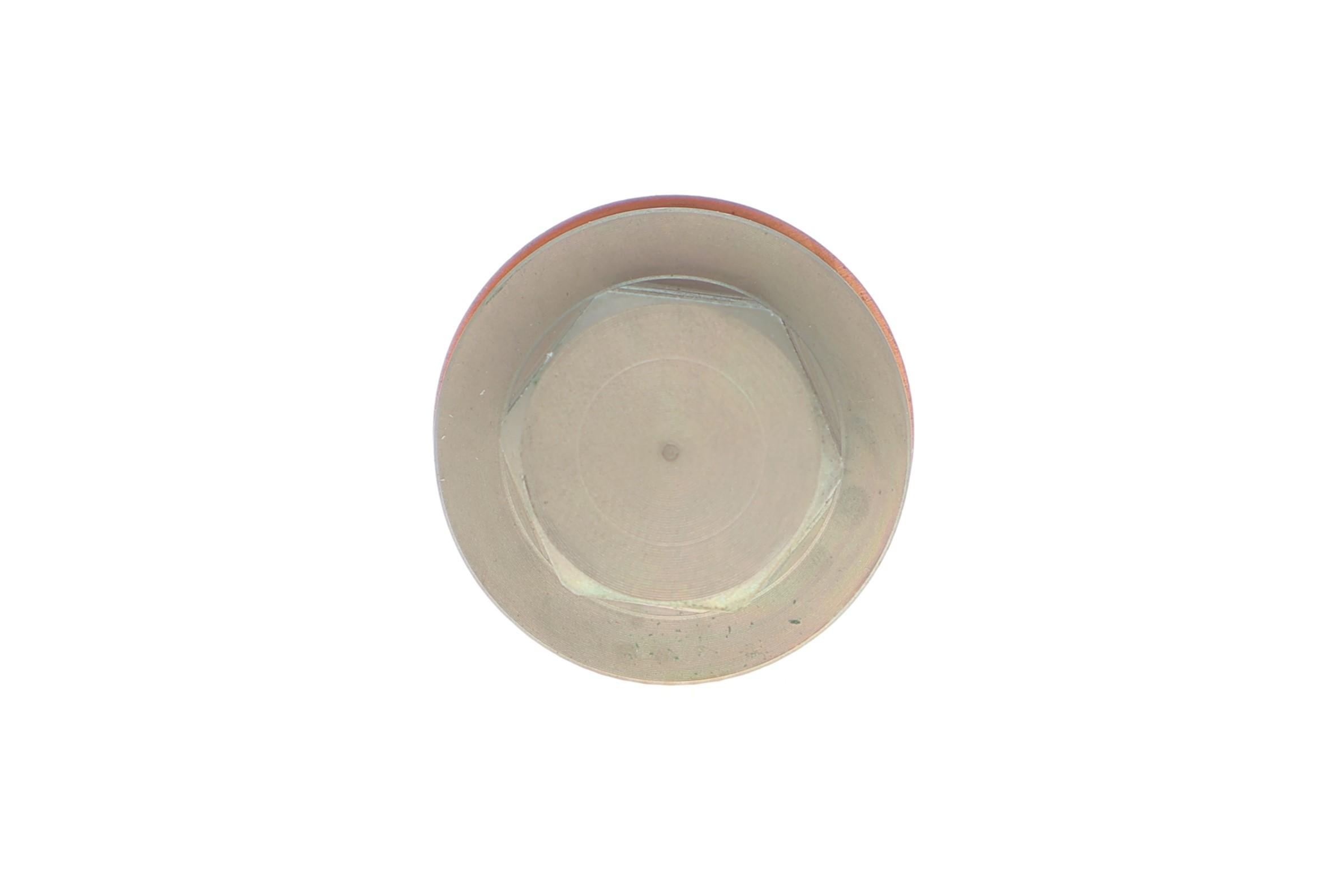 Натяжитель цепи ГРМ Ford Transit Connect 1.8TDCi/Di, 02-13, 55/66/81kw