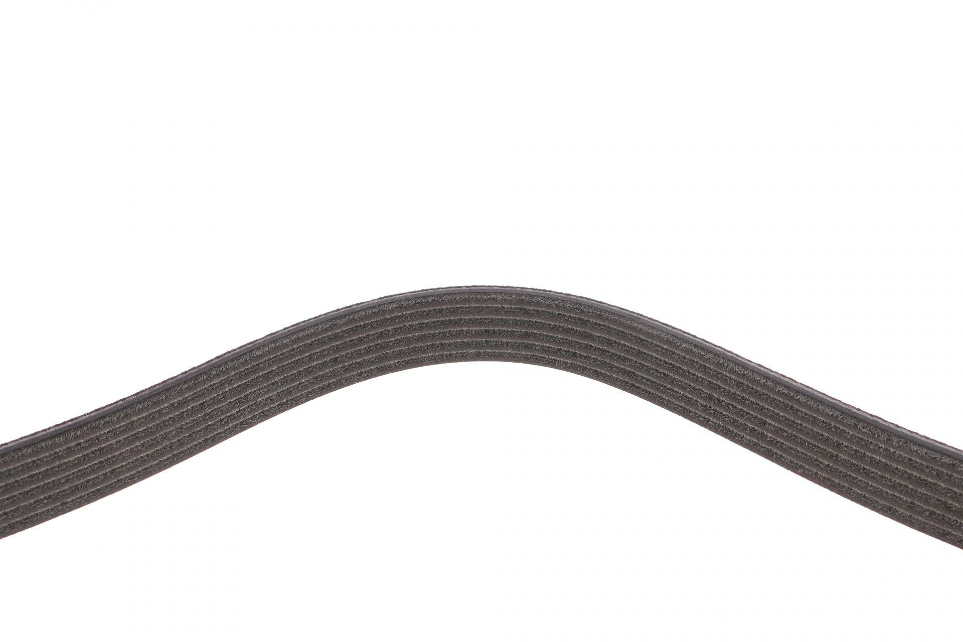 Ремінь генератора Ford C-Max II/Focus III 1.6Ti/LPG 10-