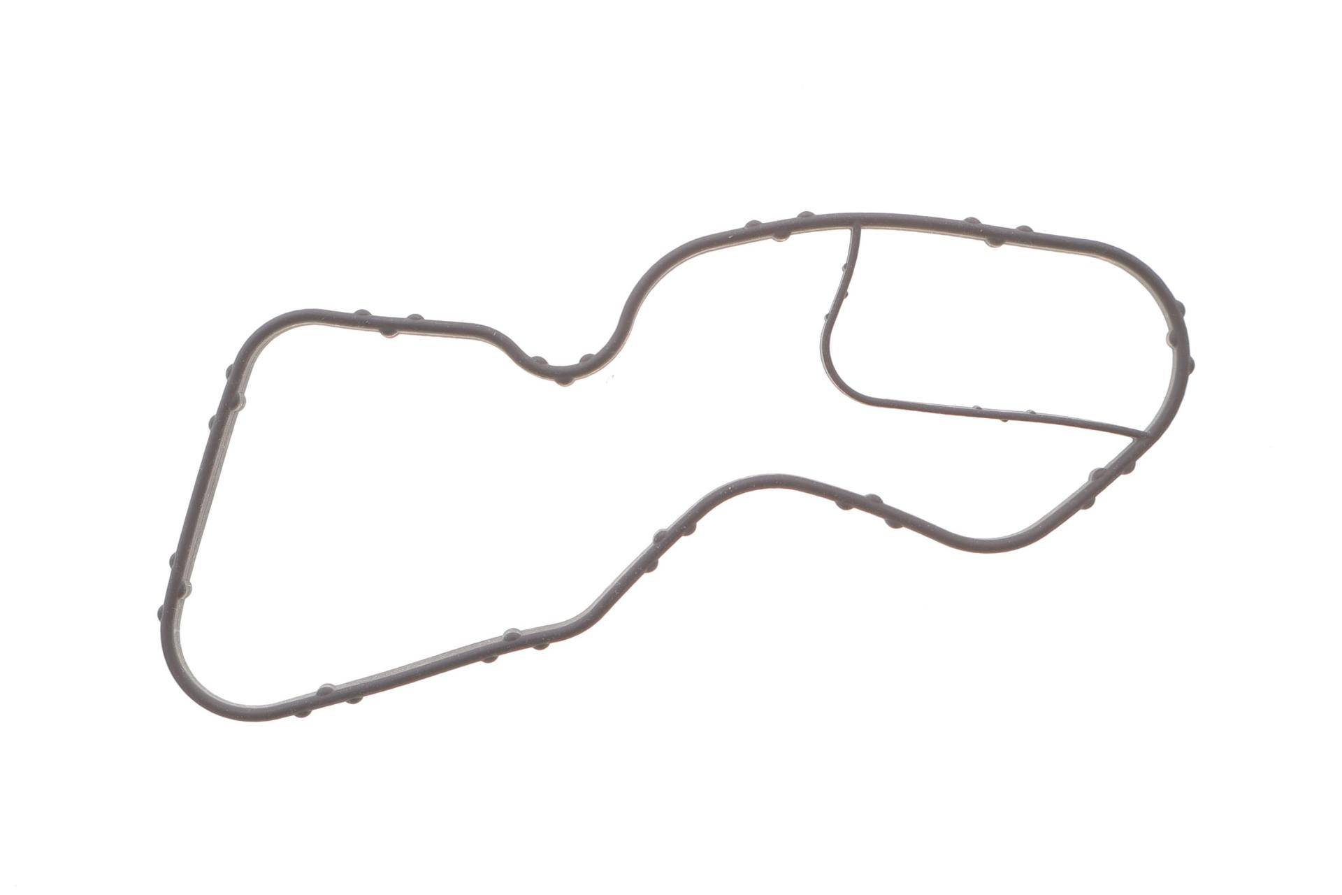 Прокладка термостата Renault Kangoo 1.2 TCe 12-