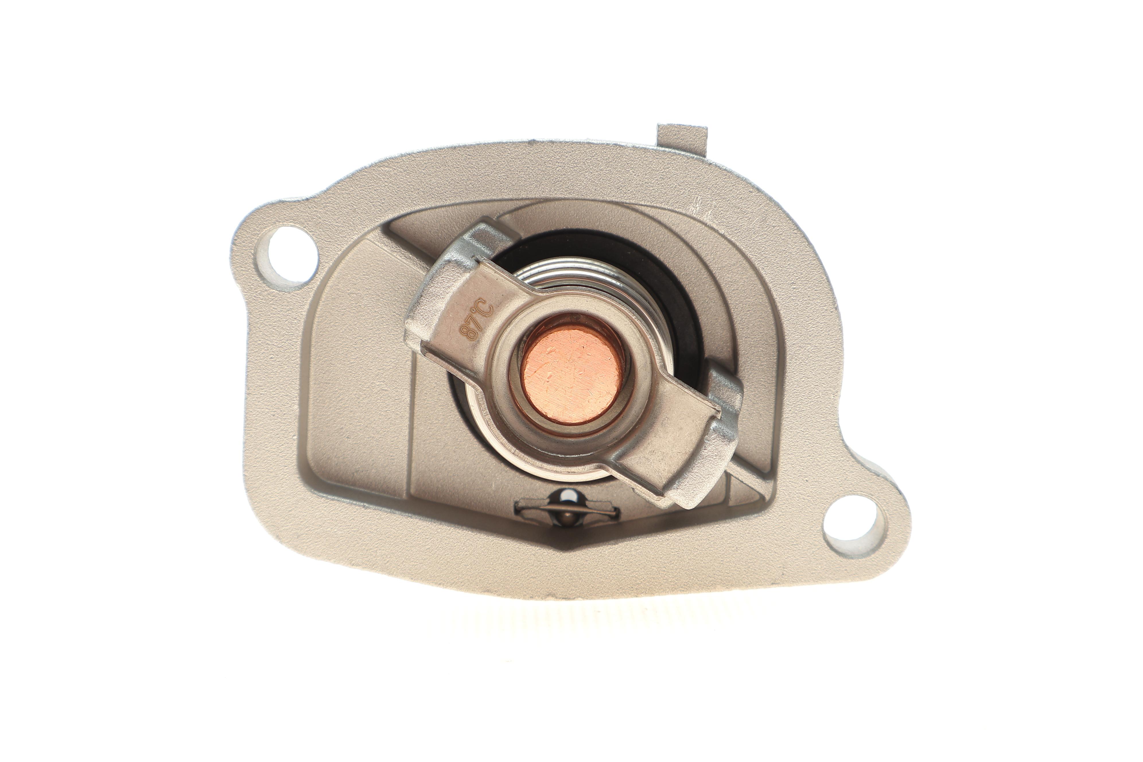 Термостат Fiat Doblo 1.2 01- (с прокладкой)