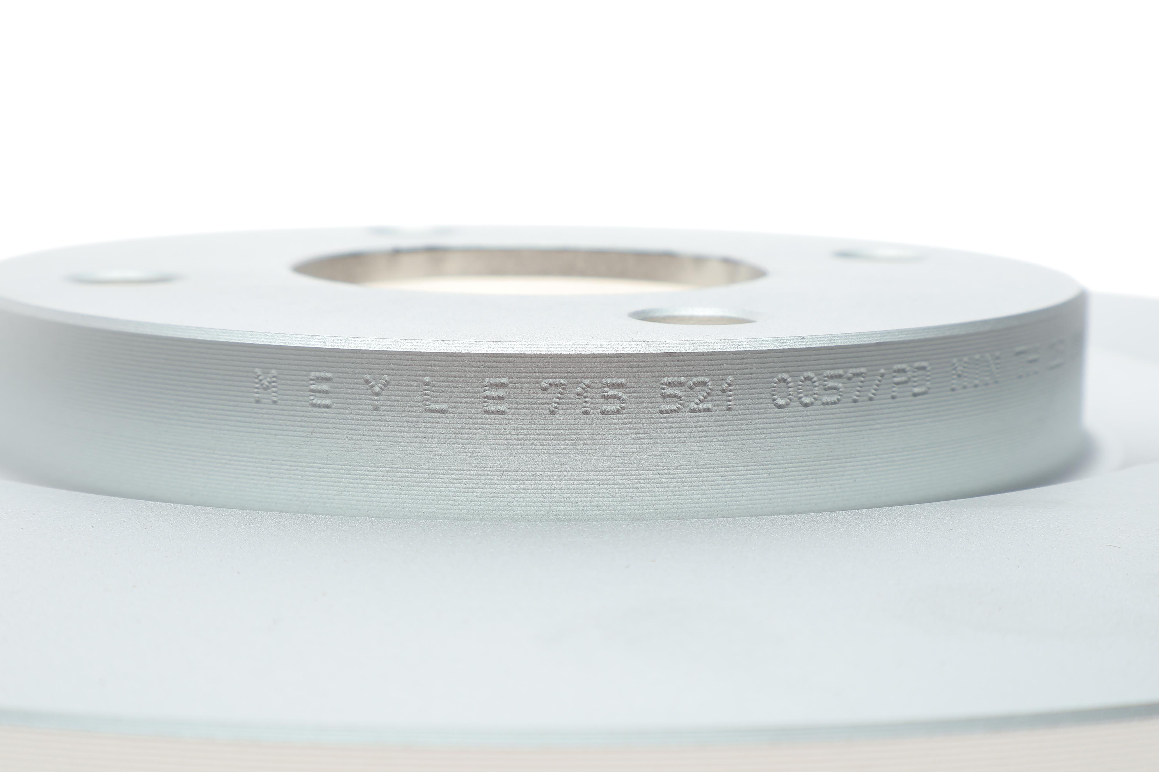 Диск тормозной (передний) Ford Ecosport 12- (300x25) (с покрытием) (вент.)