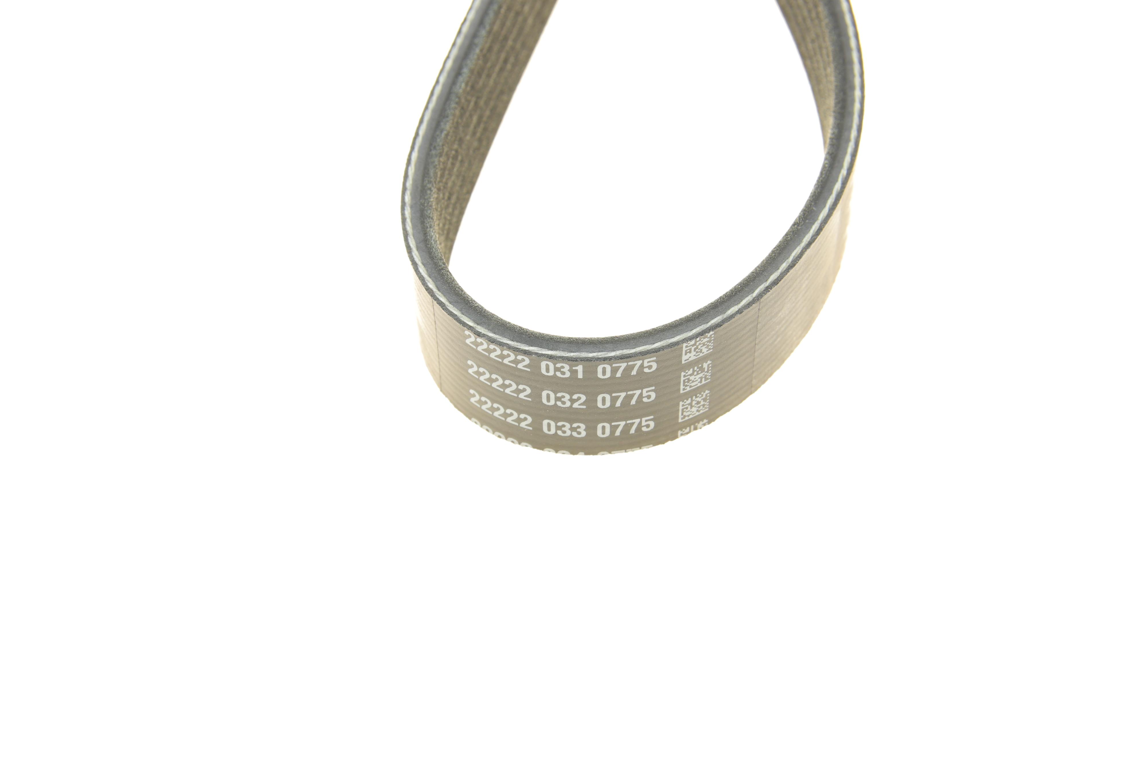 Ремінь генератора Ford Focus 1.6i 03-