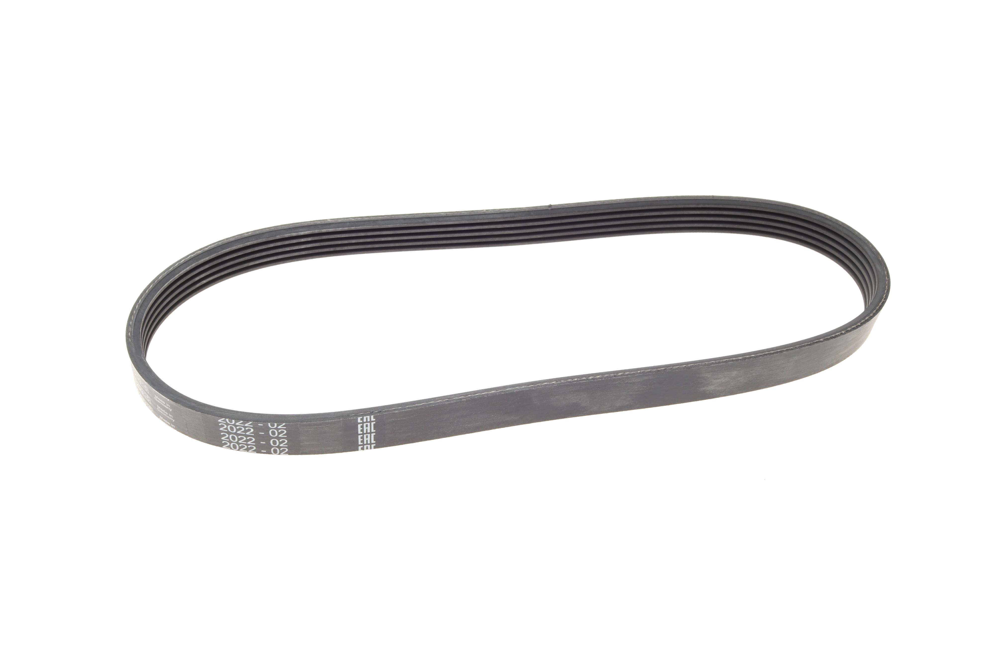 Ремінь генератора Ford Fiesta/Focus 1.4LPG/1.6Ti 08- (6PK1019)