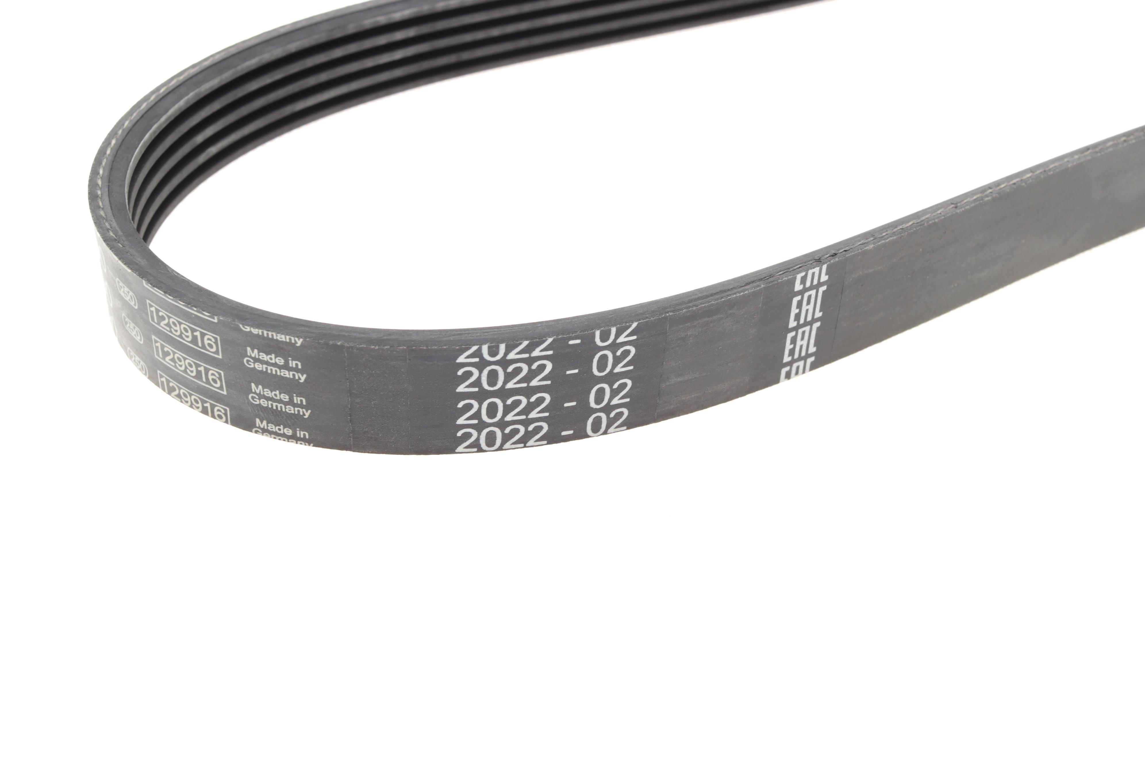 Ремінь генератора Ford Fiesta/Focus 1.4LPG/1.6Ti 08- (6PK1019)