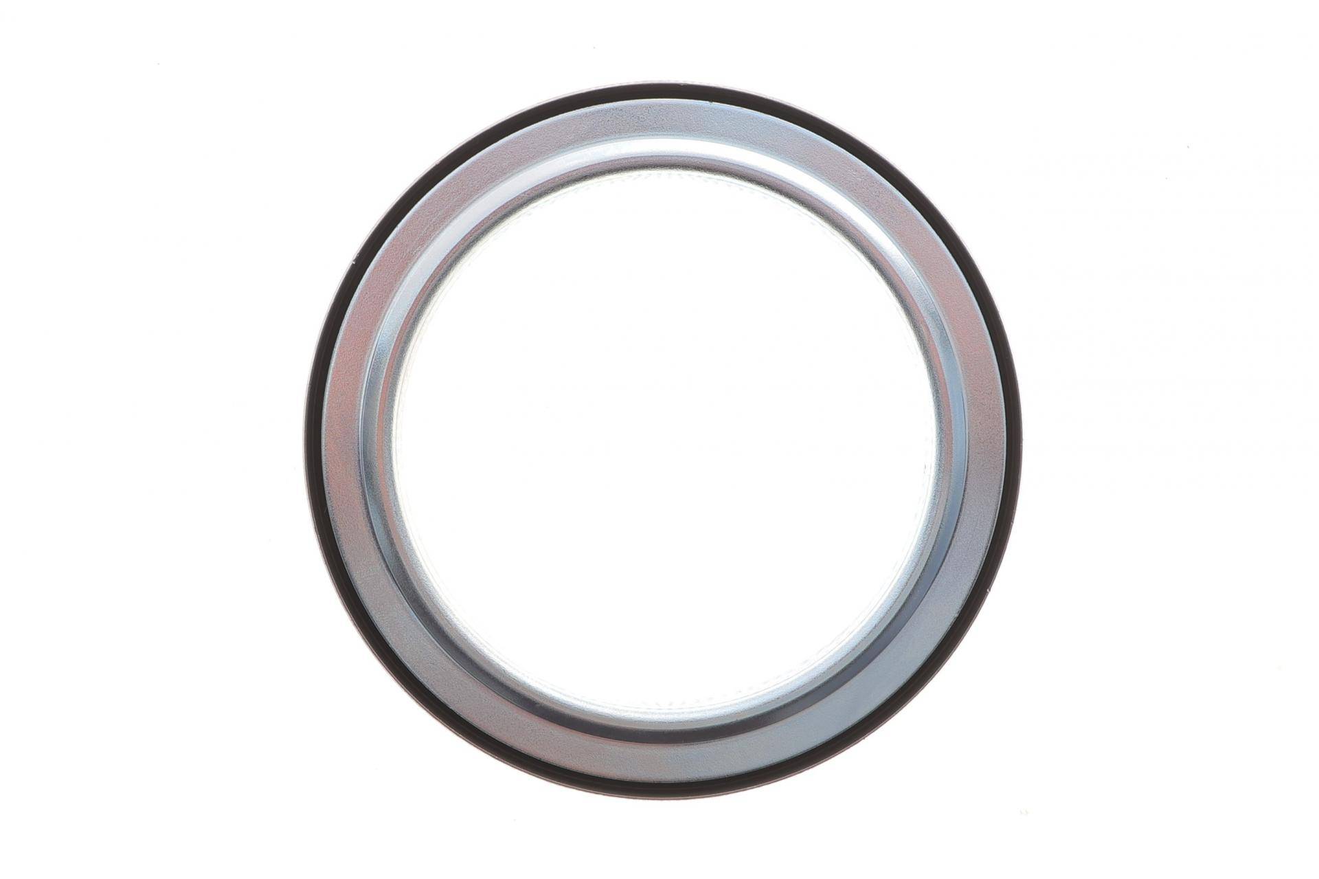 Сальник колінвалу (задній) Fiat Ducato/Iveco (83x113x13)