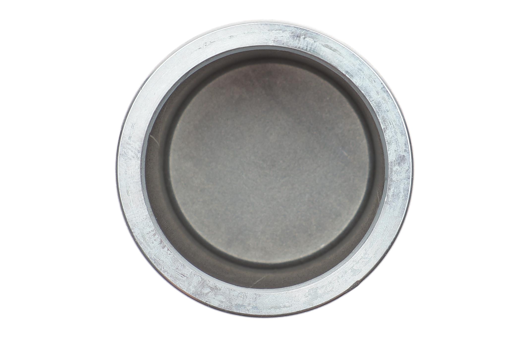 Поршенек суппорта (переднего/заднего) Hyundai Santa Fe/Kia Sorento 06- (45x49)