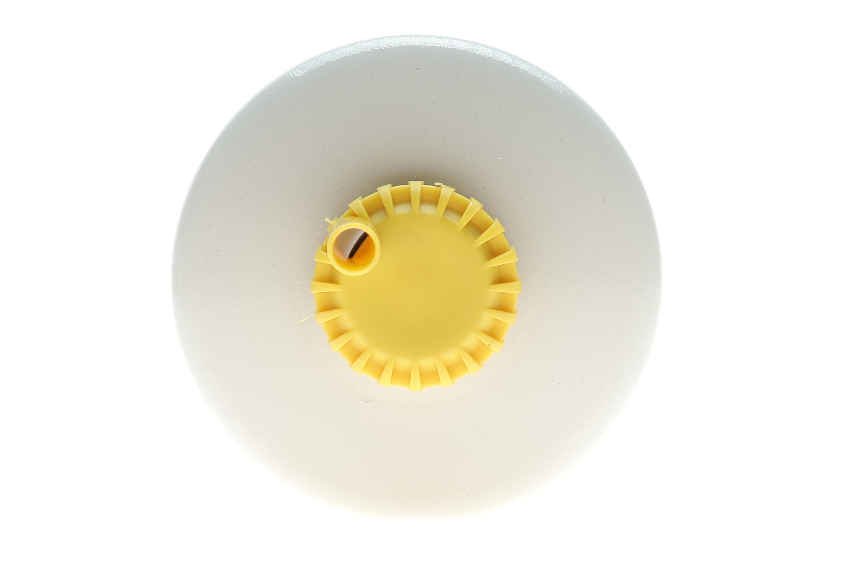 Фільтр паливний Ford Transit 2.0/2.4TDCi 02-06