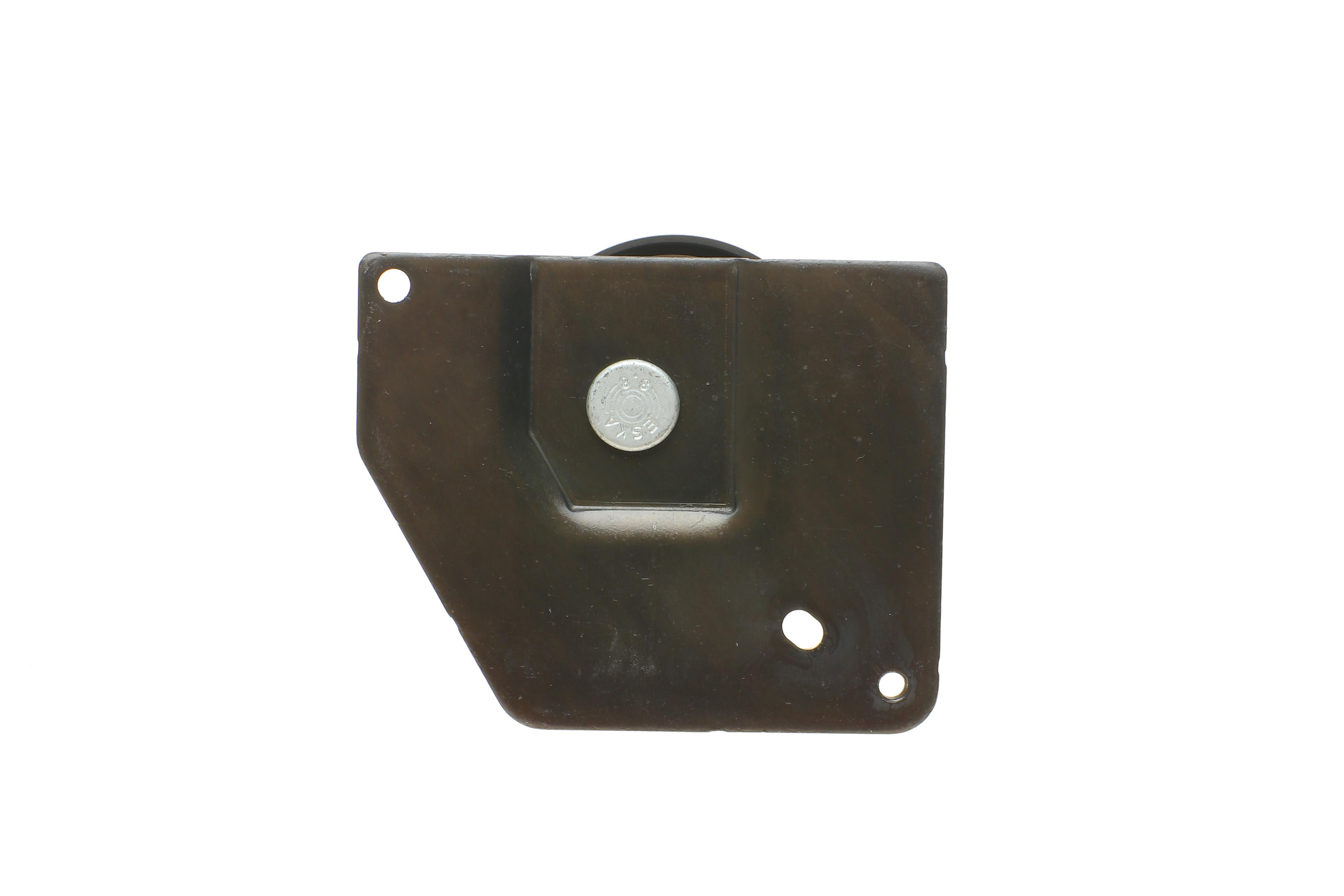 Ролик ГРМ Renault Megane/Scenic 1.9D 08- (натяжной) (67х30.5)