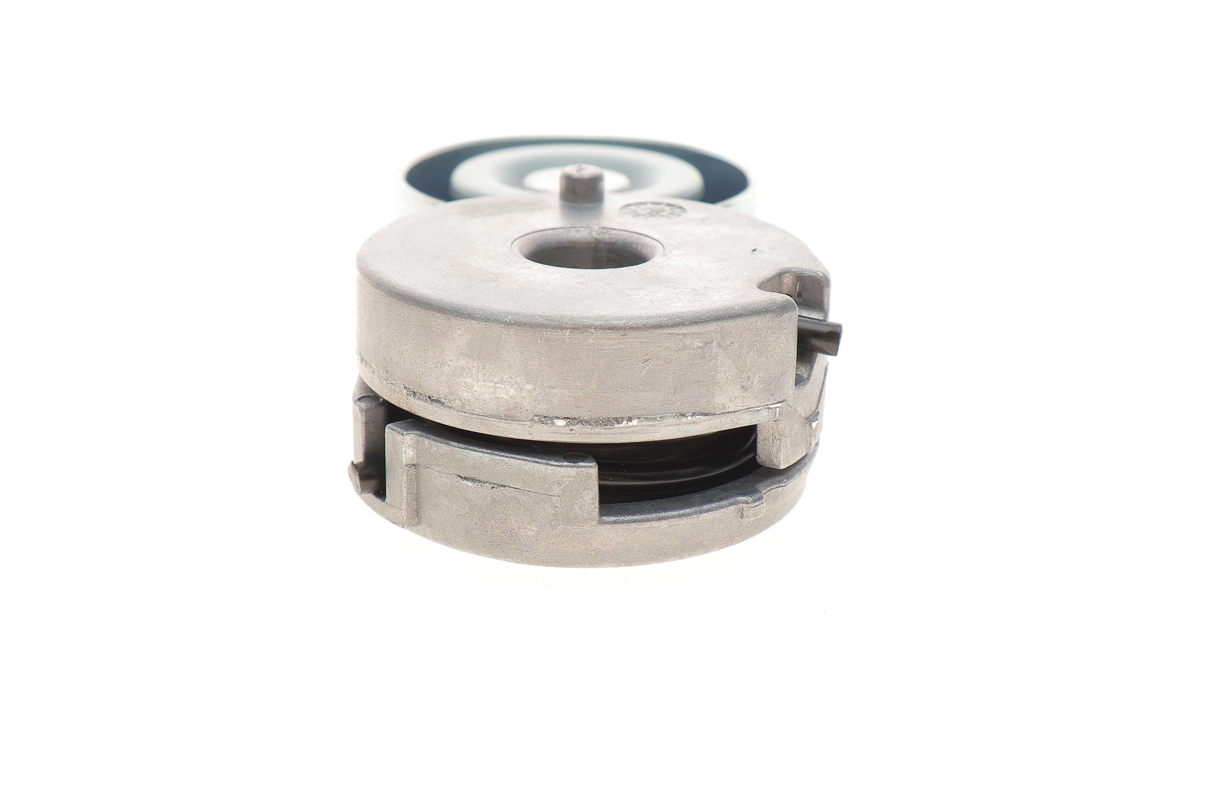 Натяжитель ремня генератора Nissan X-Trail/Qashqai/Renault Clio/Fluence/Laguna III 2.0 16 V 07-