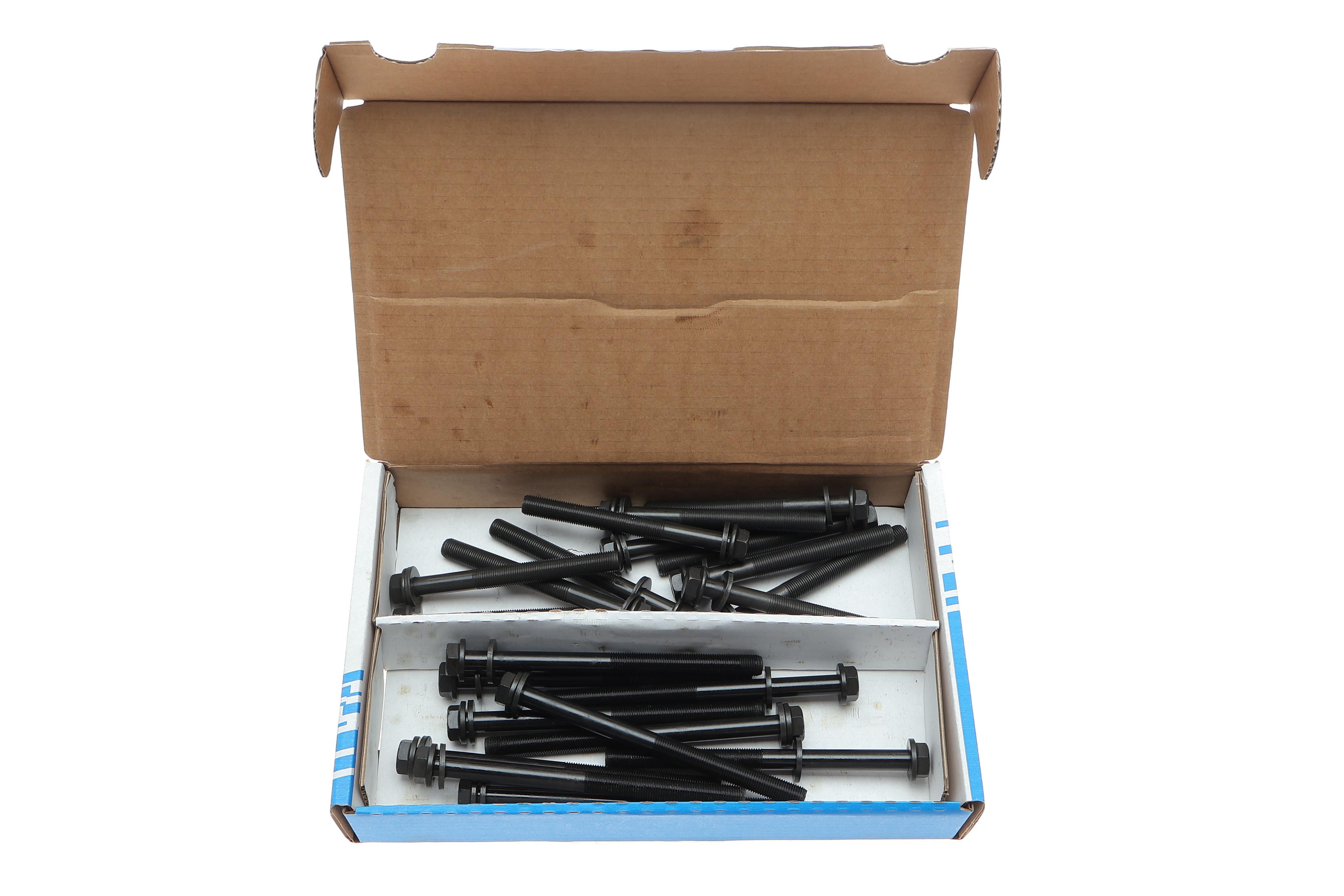 Болты головки (к-кт 22шт.) Fiat Ducato/Citroen Jumper/Renault Master -02