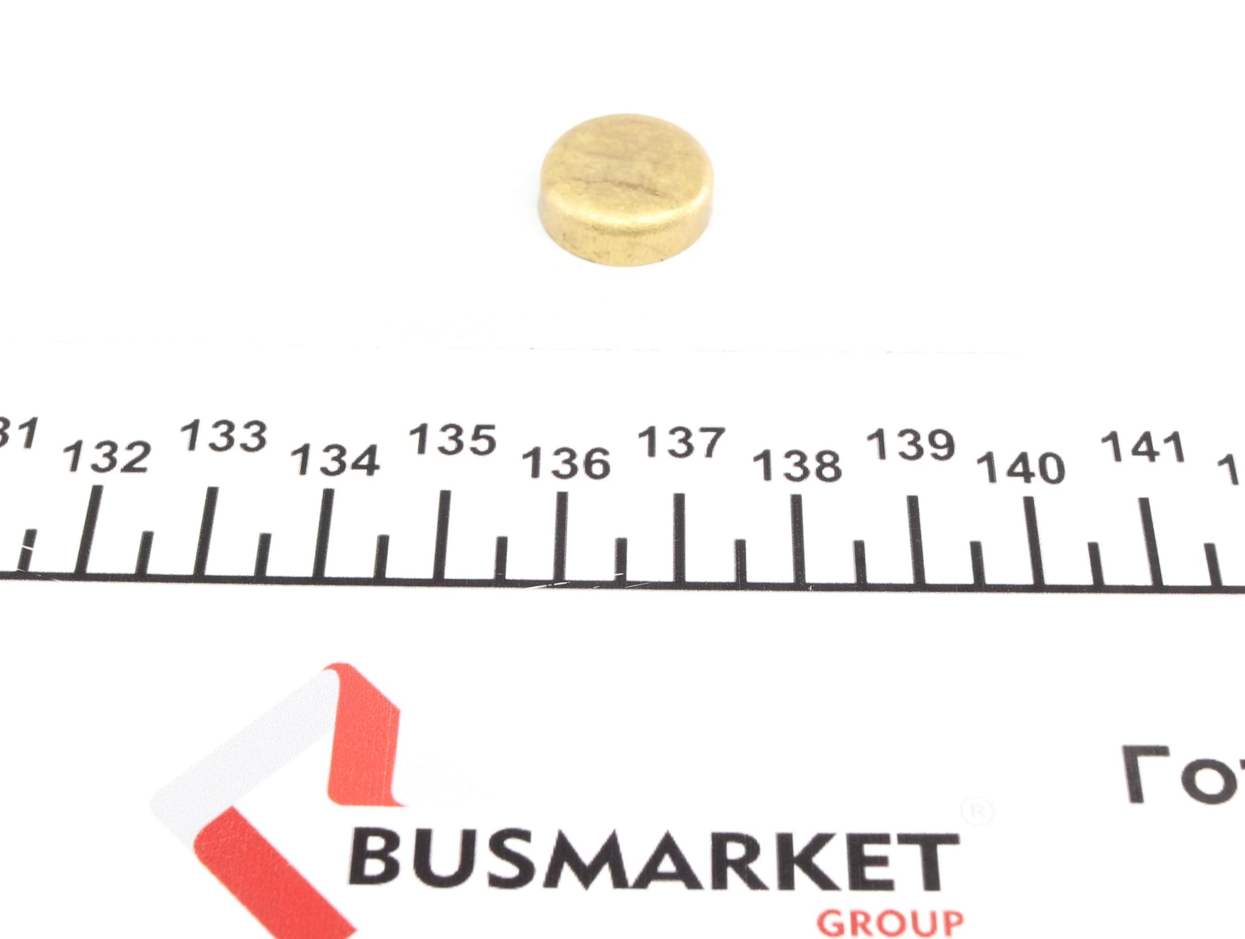 Заглушка блока цилиндров (d=16,5mm) Латунь/Brass