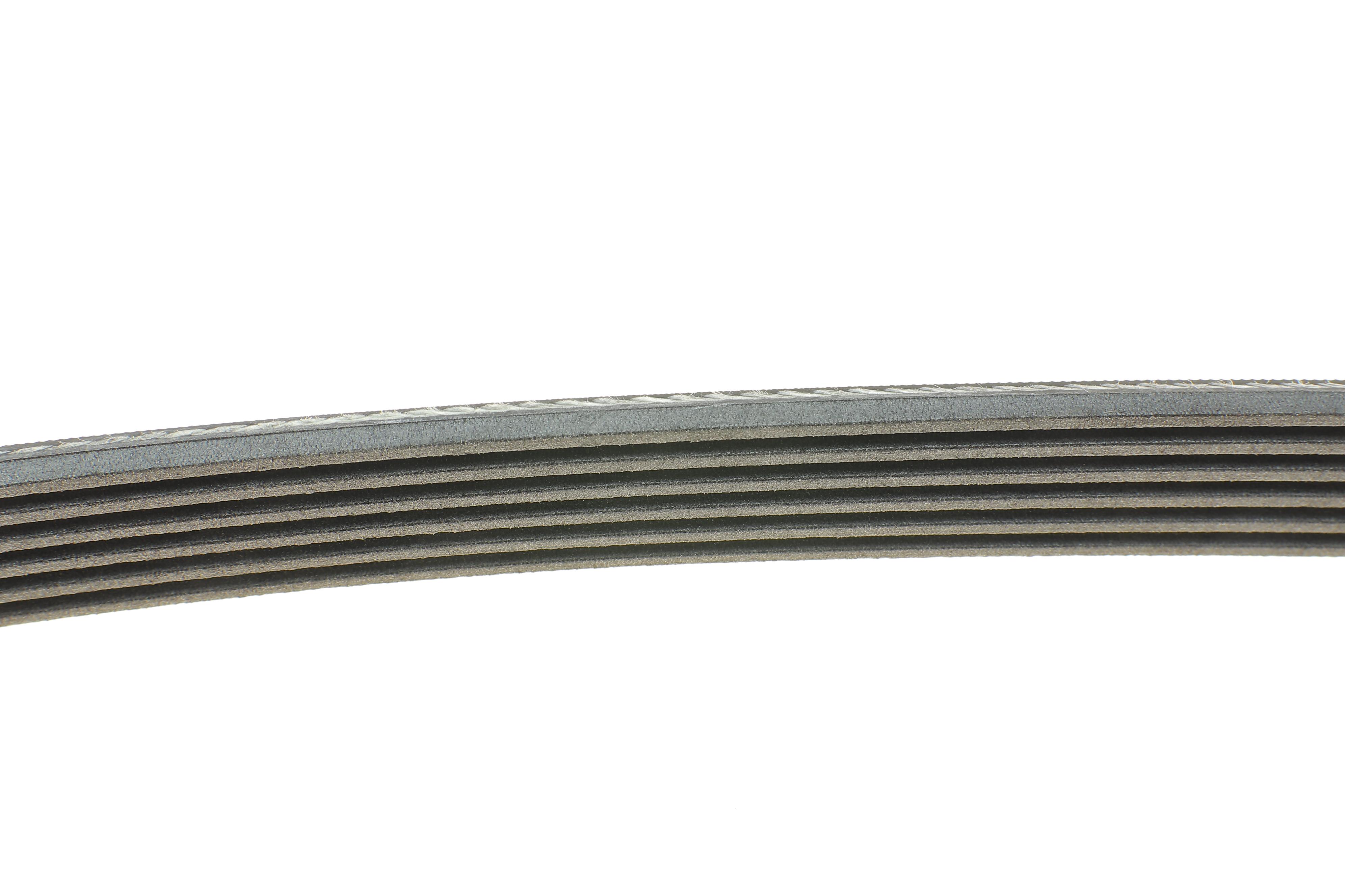 Комплект ременя генератора Renault Clio/Kangoo/Megane/Scenic 1.5dCi 01- (6PK1200)