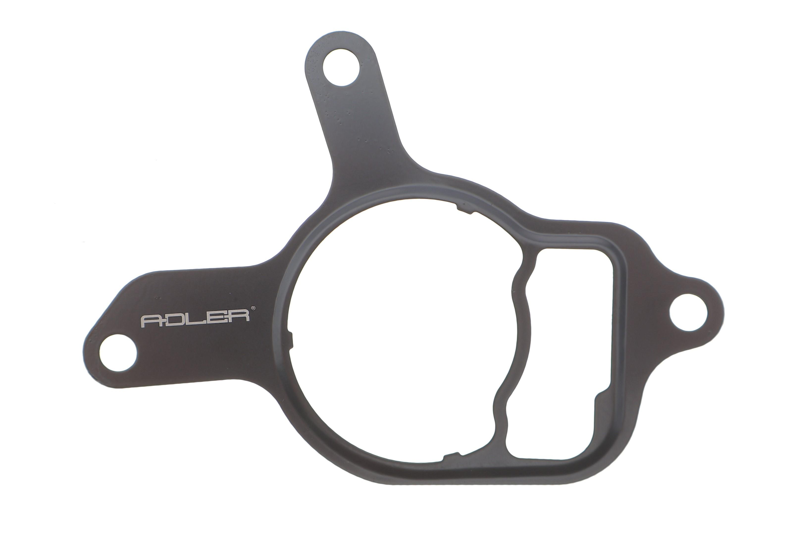 Прокладка насоса вакуумного VW Golf VI/Jetta III/IV 2.5 06-