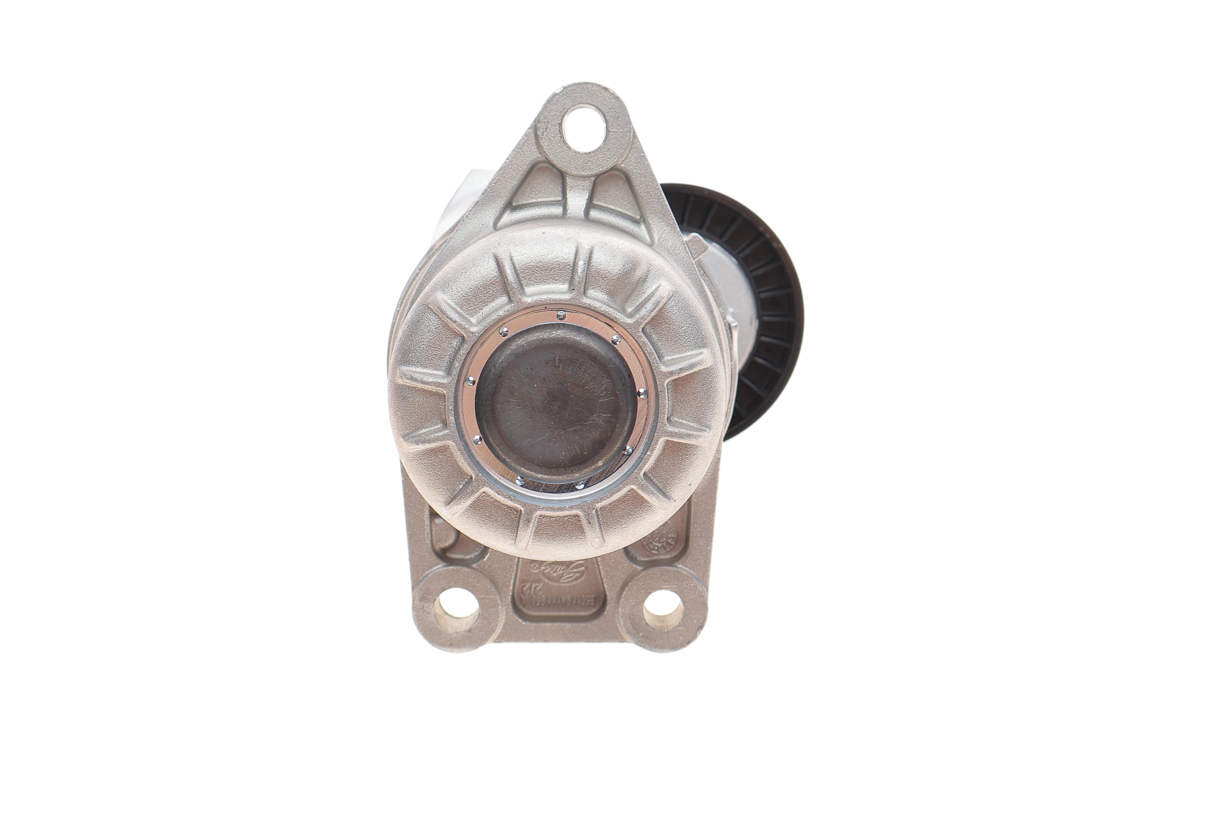 Натяжник ременя генератора Citroen C4/C5/Peugeot Expert 2.0 HDi 09-