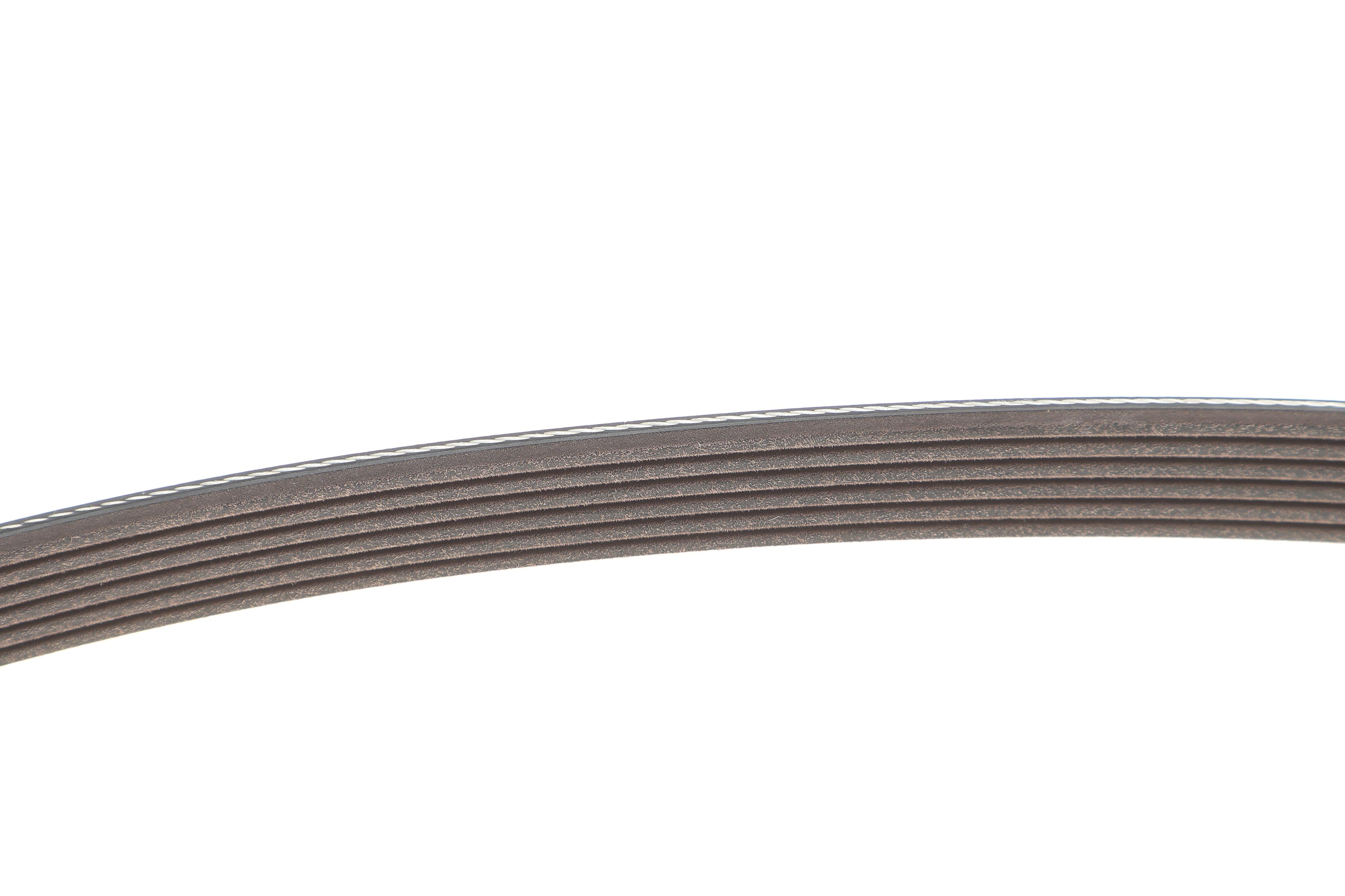 Комплект ременя генератора Renault Kangoo 1.5dCi 09- (6PK1176)