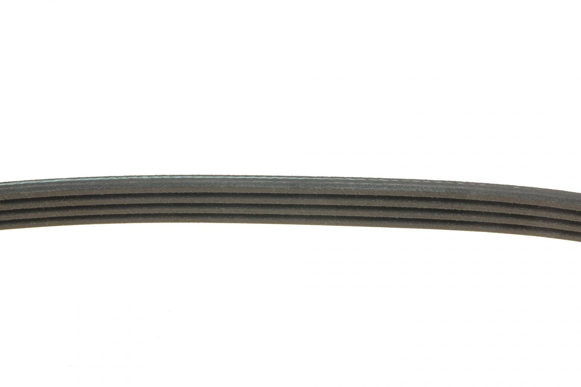 Ремінь генератора Ford Transit 2.0 TDCI 00-06