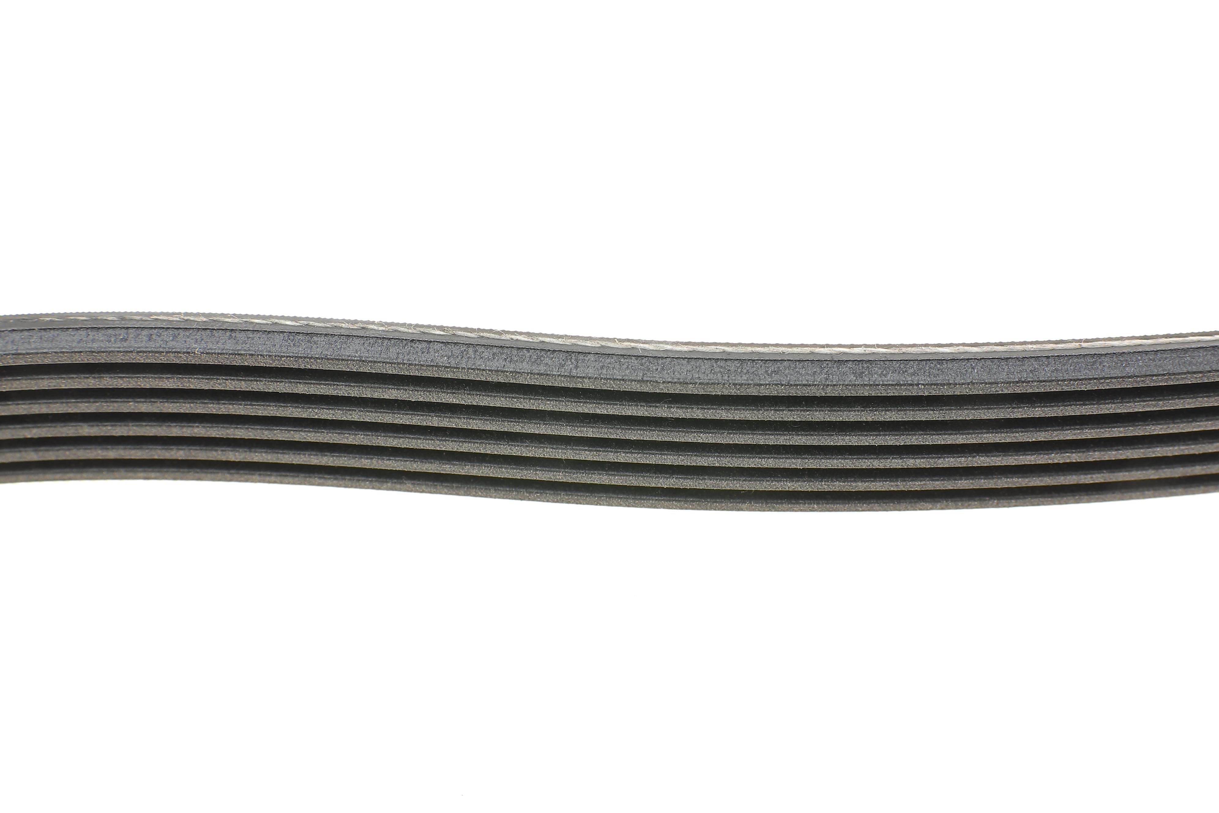 Ремень генератора Ford Focus 1.4/1.6 16V 98-04