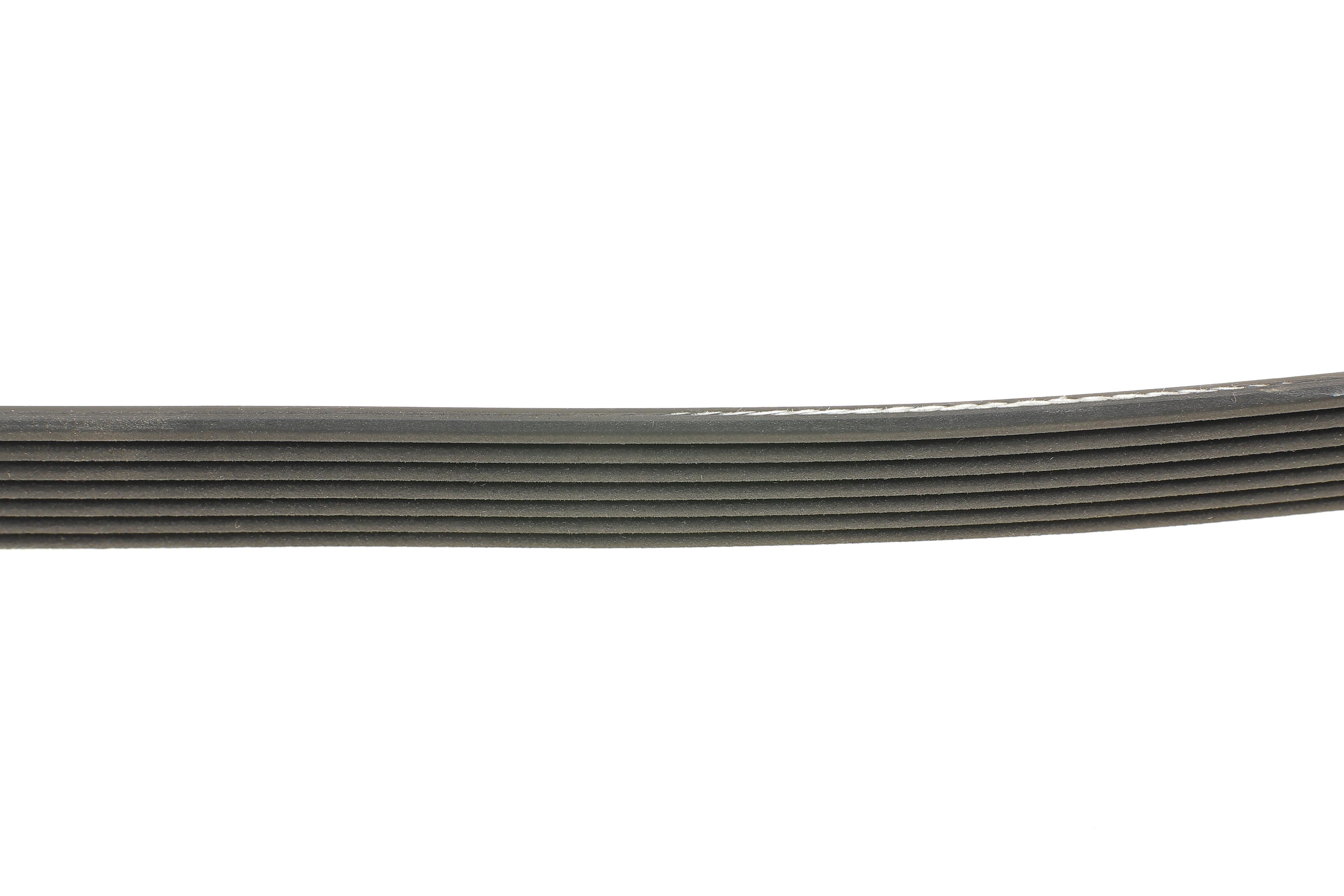 Ремінь генератора Ford Transit 2.4 TDCi 06-