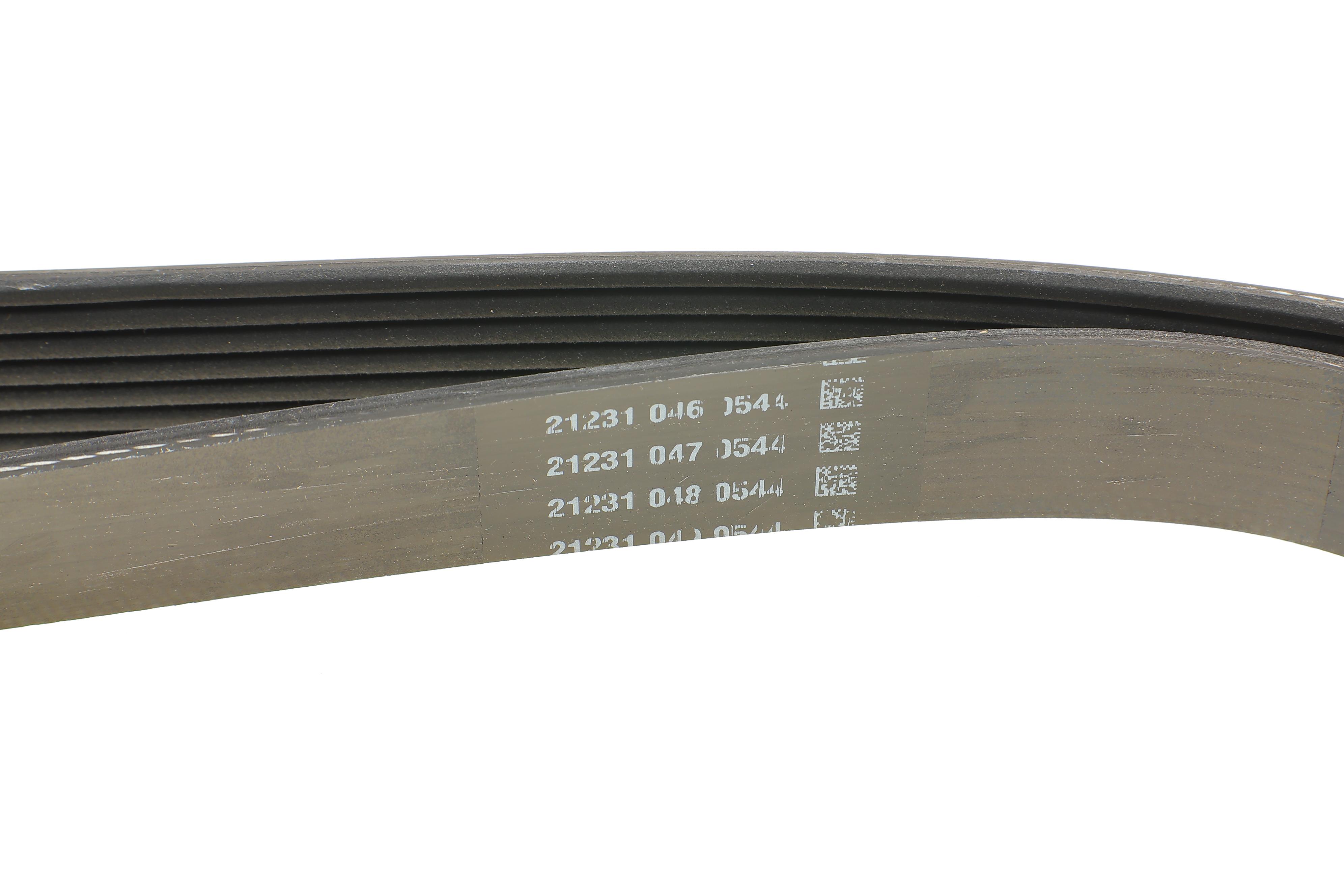 Ремінь генератора Ford Transit 2.4 TDCi 06-