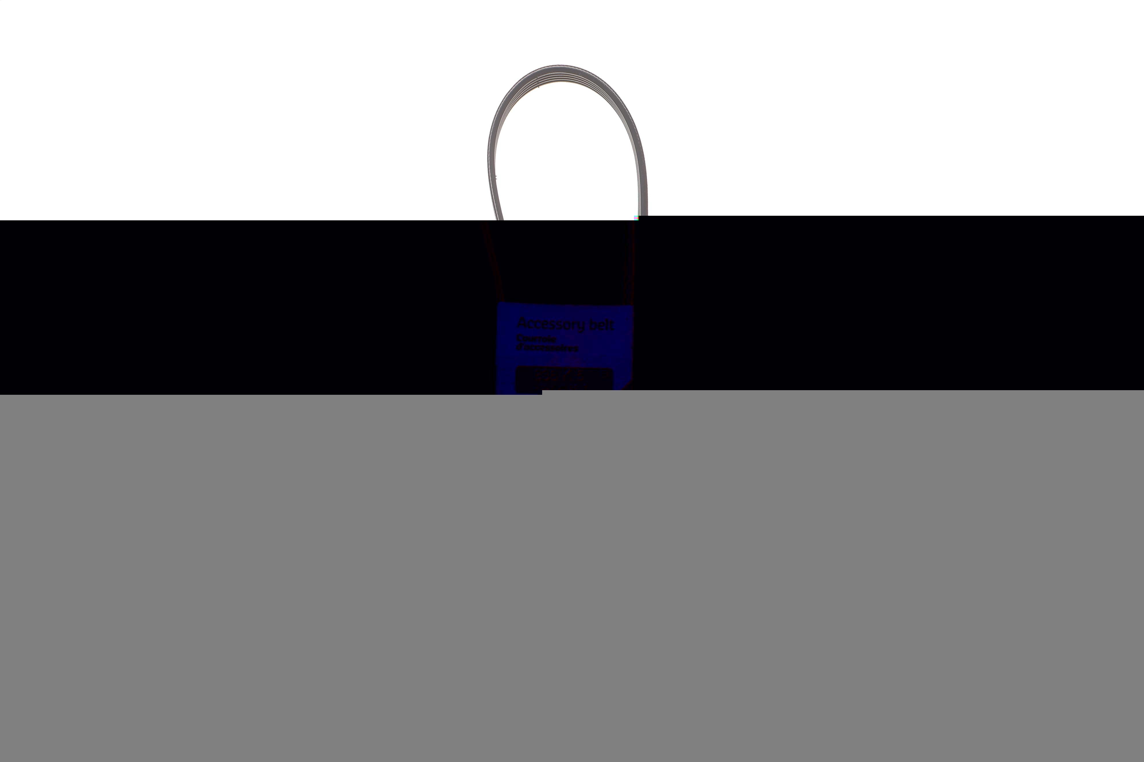 Ремінь генератора BMW 3 (E46)/5 (E39) 1.8D/2.0D 98-03 (5PK836)