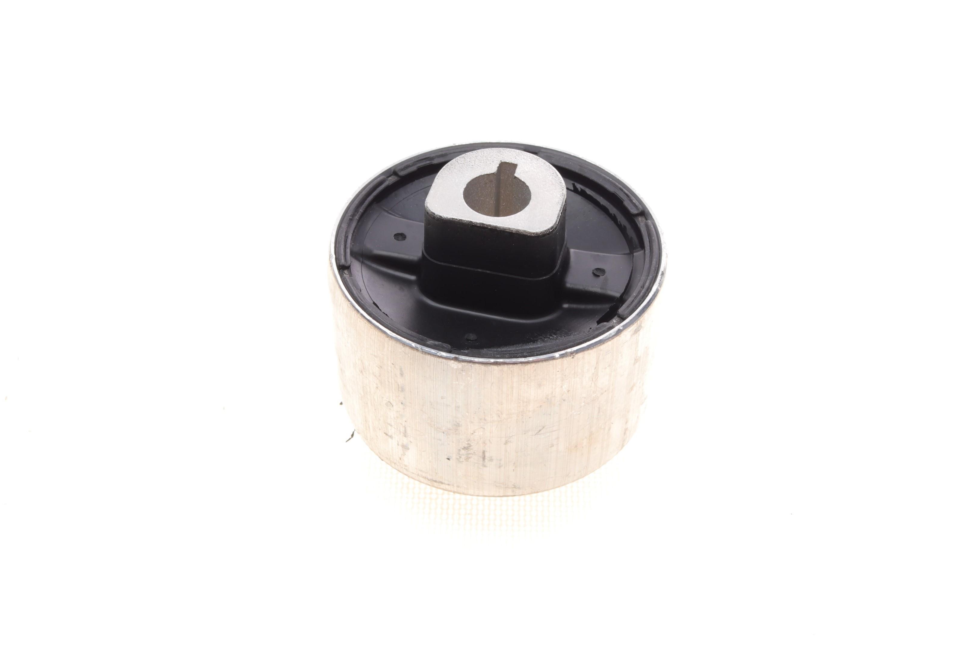 Сайлентблок важеля (переднього/знизу) Renault Scenic IV/Megane IV 15-