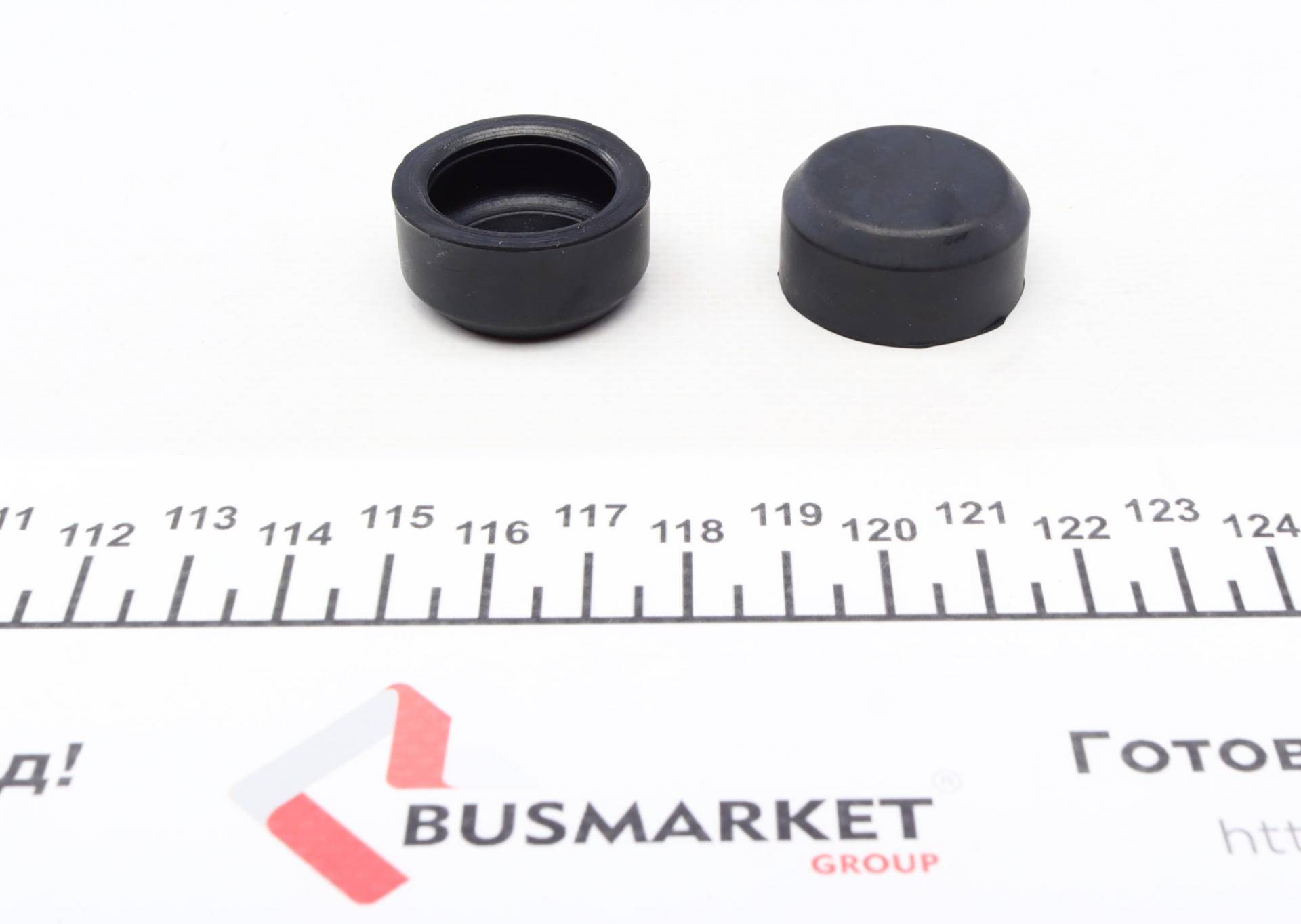 Ремкомплект супорта (заднього) Iveco Daily IV 06-11 (d=48mm) (Brembo)