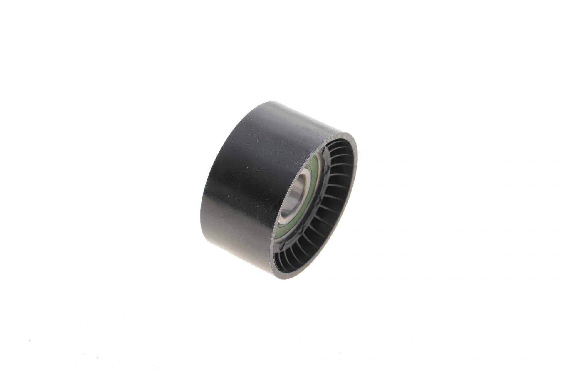 Ролик генератора Renault Trafic/Master 1.9-2.5DI/dTi (паразитний) (60х31)(NSK)