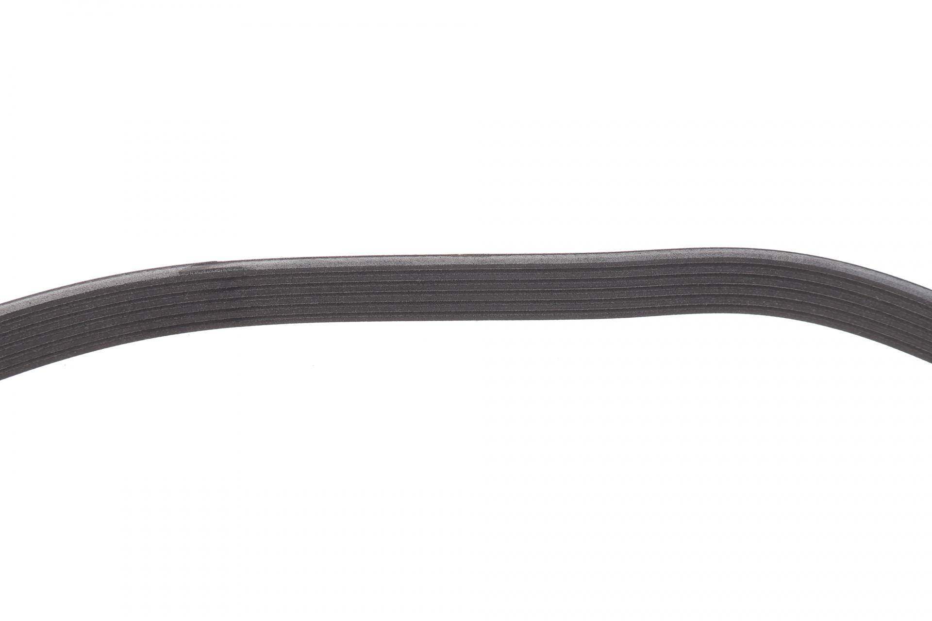 Ремінь генератора Ford Fiesta VI/Mondeo IV 08-