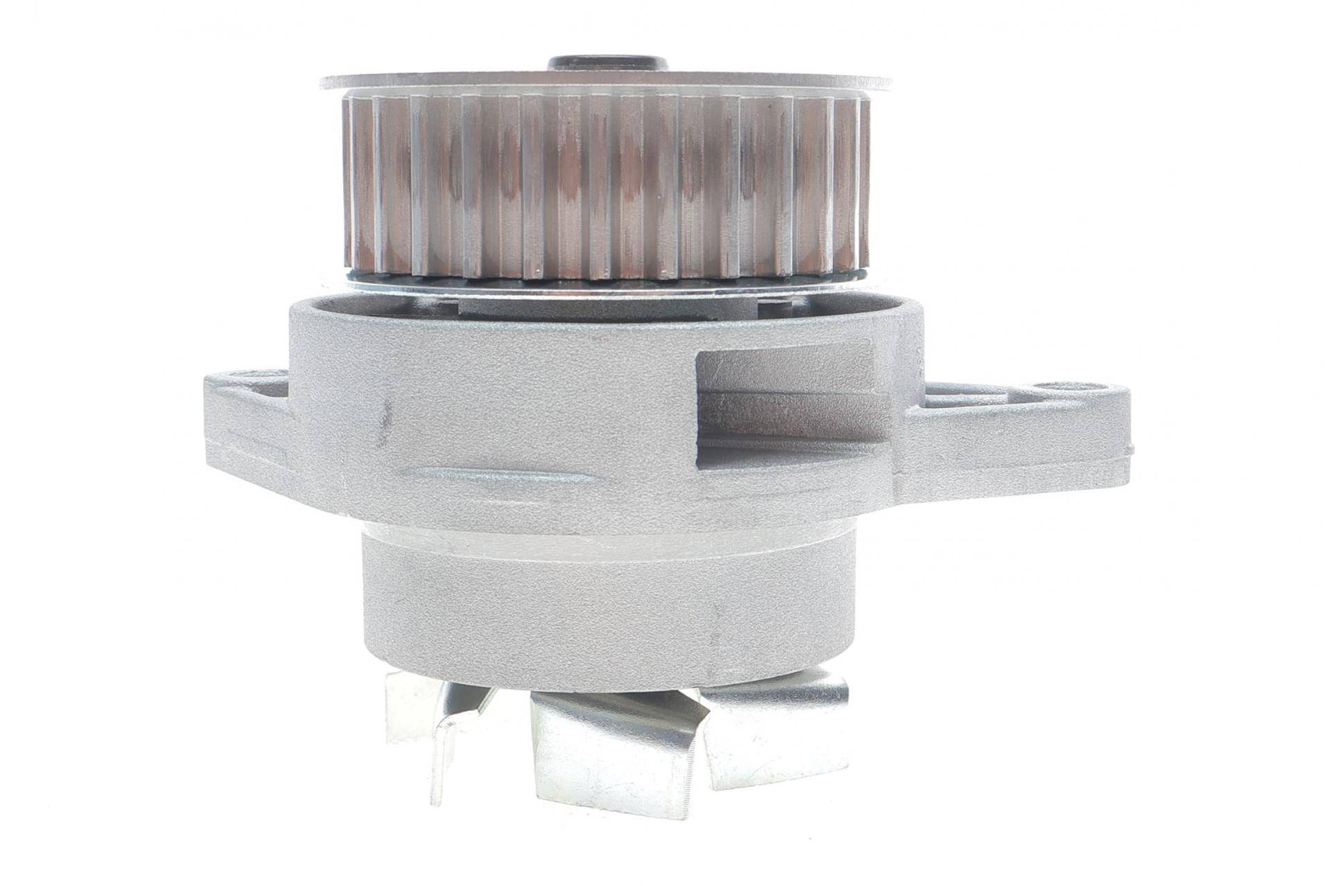 Комплект ГРМ + помпа VW Caddy/Golf/Seat Ibiza/Skoda Octavia 1.6 92-04 (19x137z)