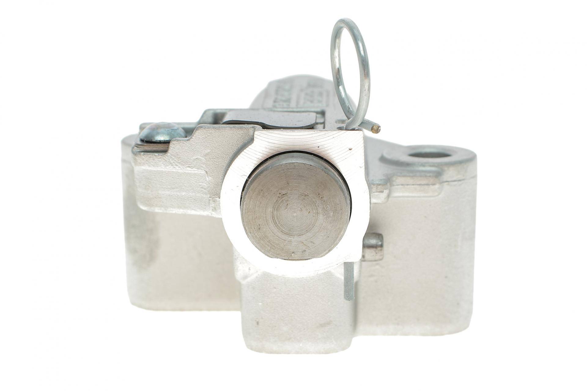 Натяжник ланцюга ГРМ Fiat Ducato/Ford 2.2JTD/TDCi 06-