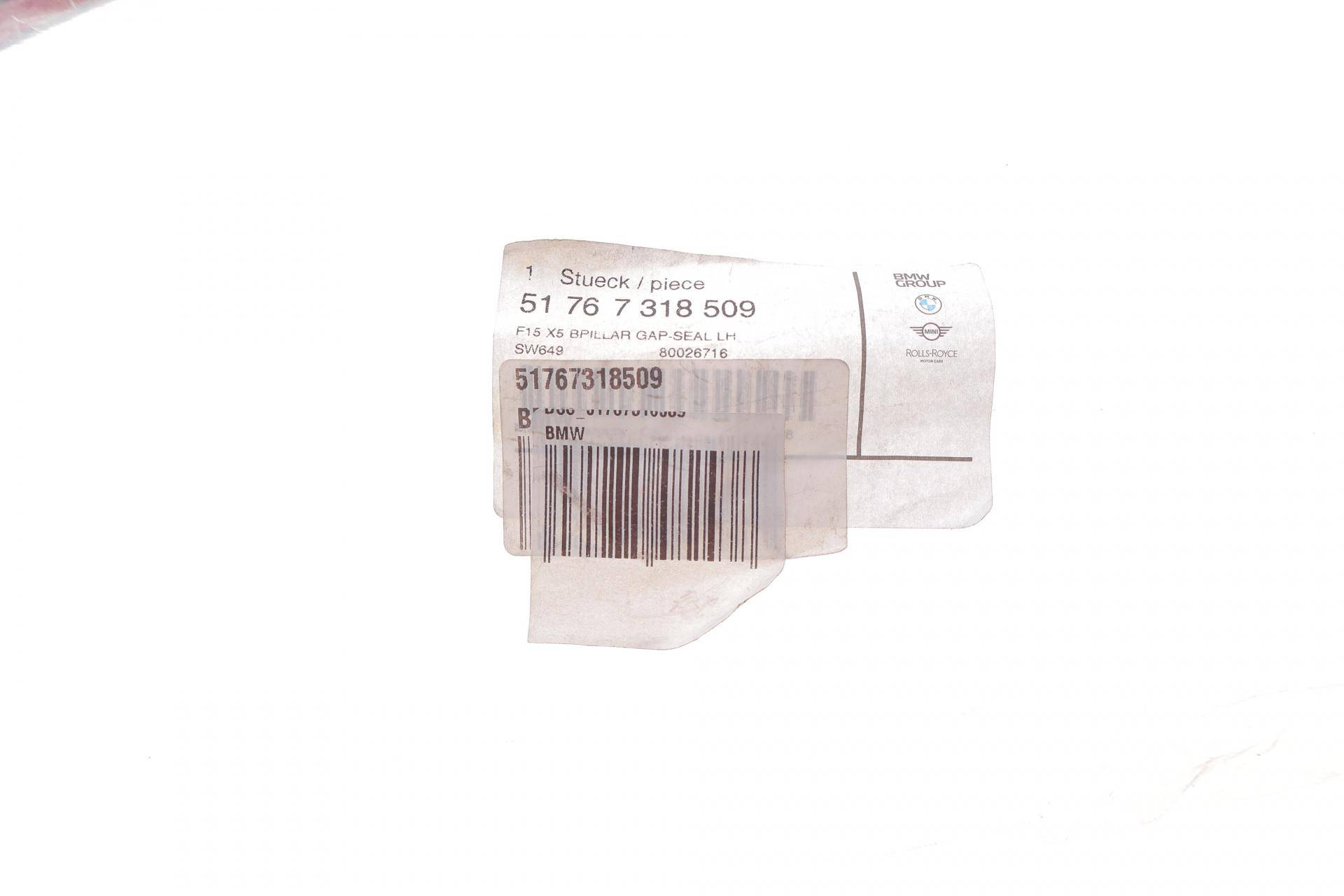 Ущільнювач дверей (задніх) BMW X5 (F15/F85) 13- (L)(пошкоджене кріплення)