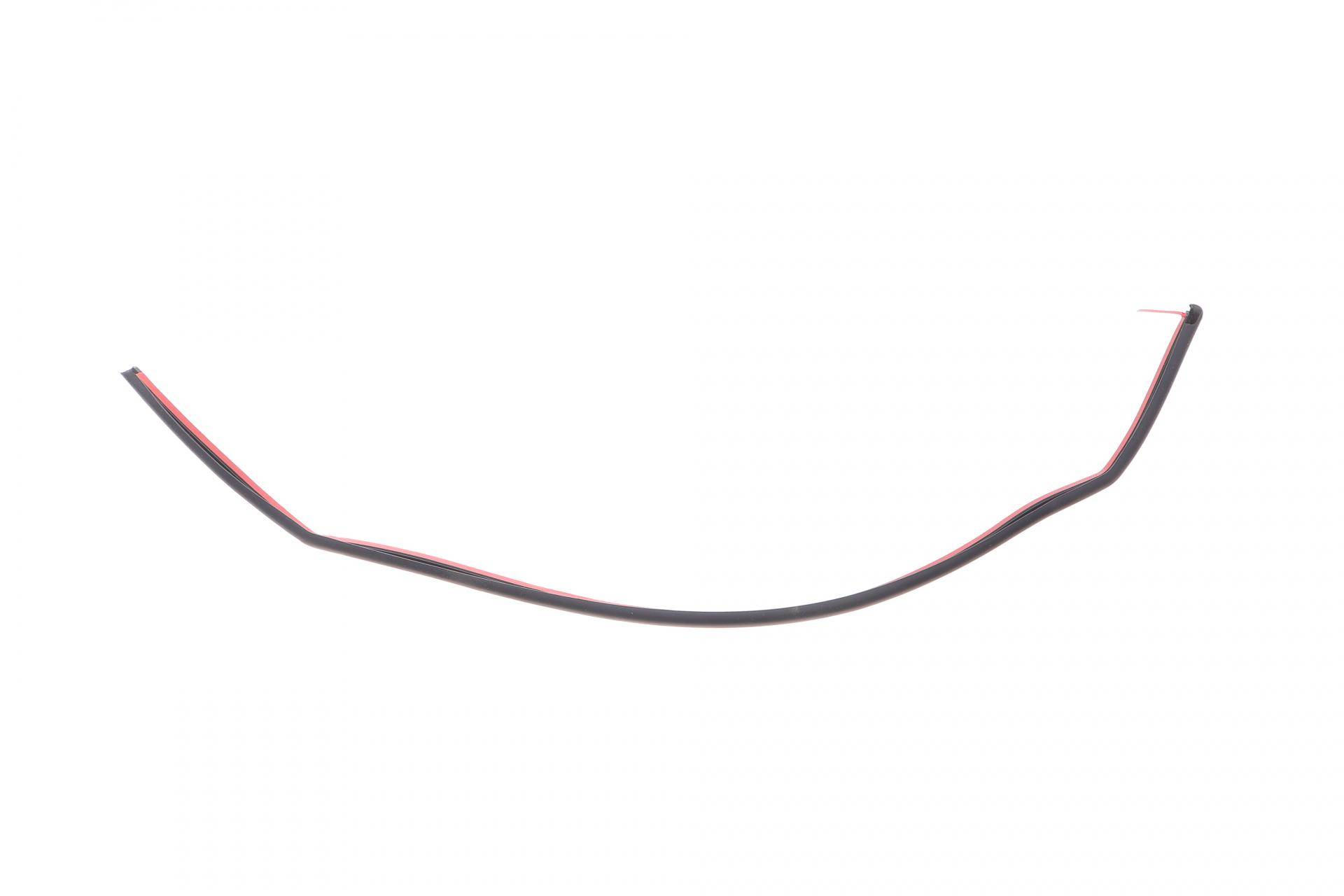 Ущільнювач дверей (задніх) BMW X5 (F15/F85) 13- (L)(пошкоджене кріплення)