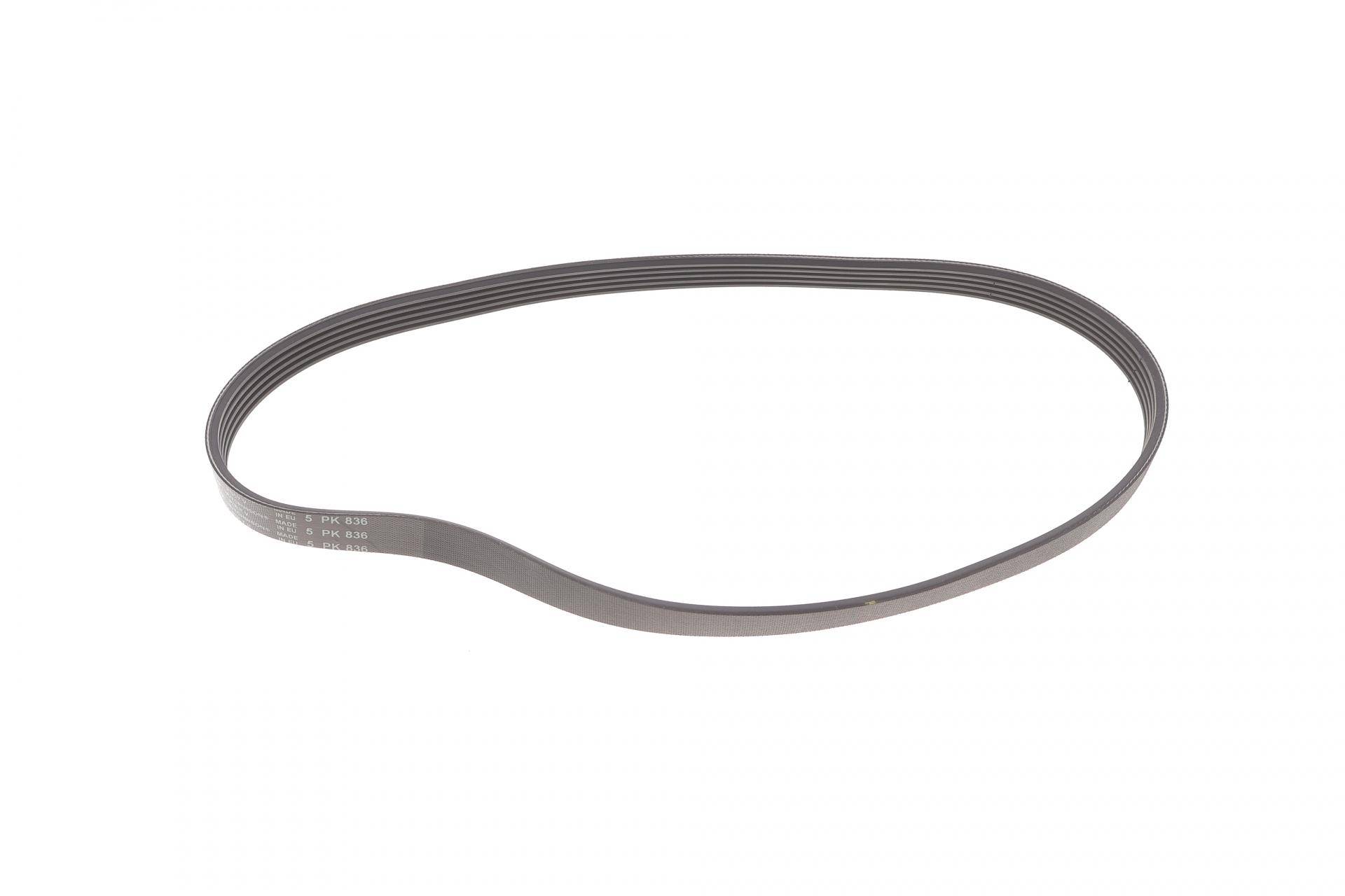 Ремінь генератора BMW 3 (E46)/5 (E39) 1.8D/2.0D 98-03 (5PK836)