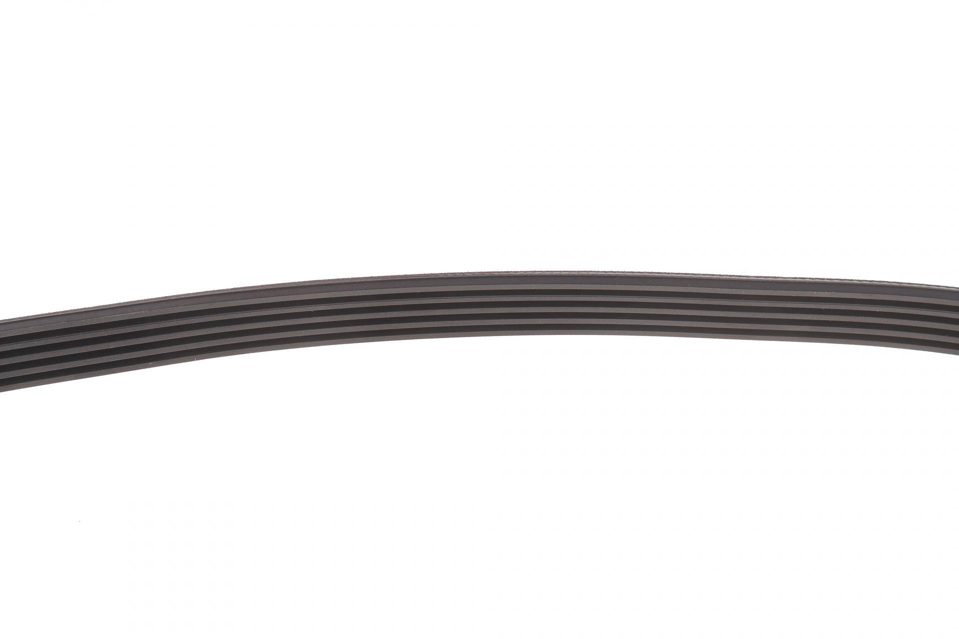 Ремінь генератора BMW 3 (E46)/5 (E39) 1.8D/2.0D 98-03 (5PK836)