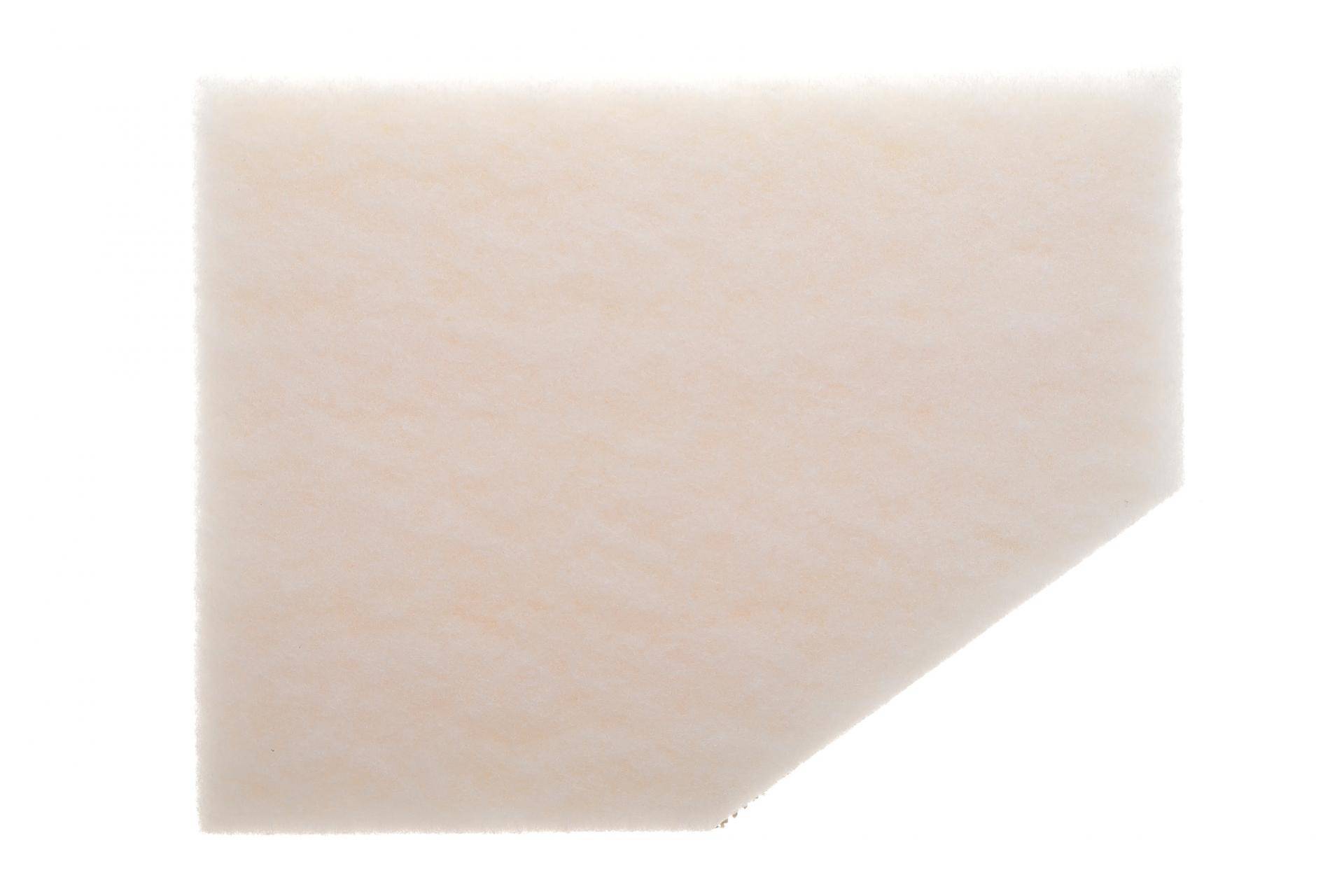 Фільтр повітряний BMW 5 (G31)/7 (G07)/X5 (G05) 3.0 16- (M90/B57/B58)