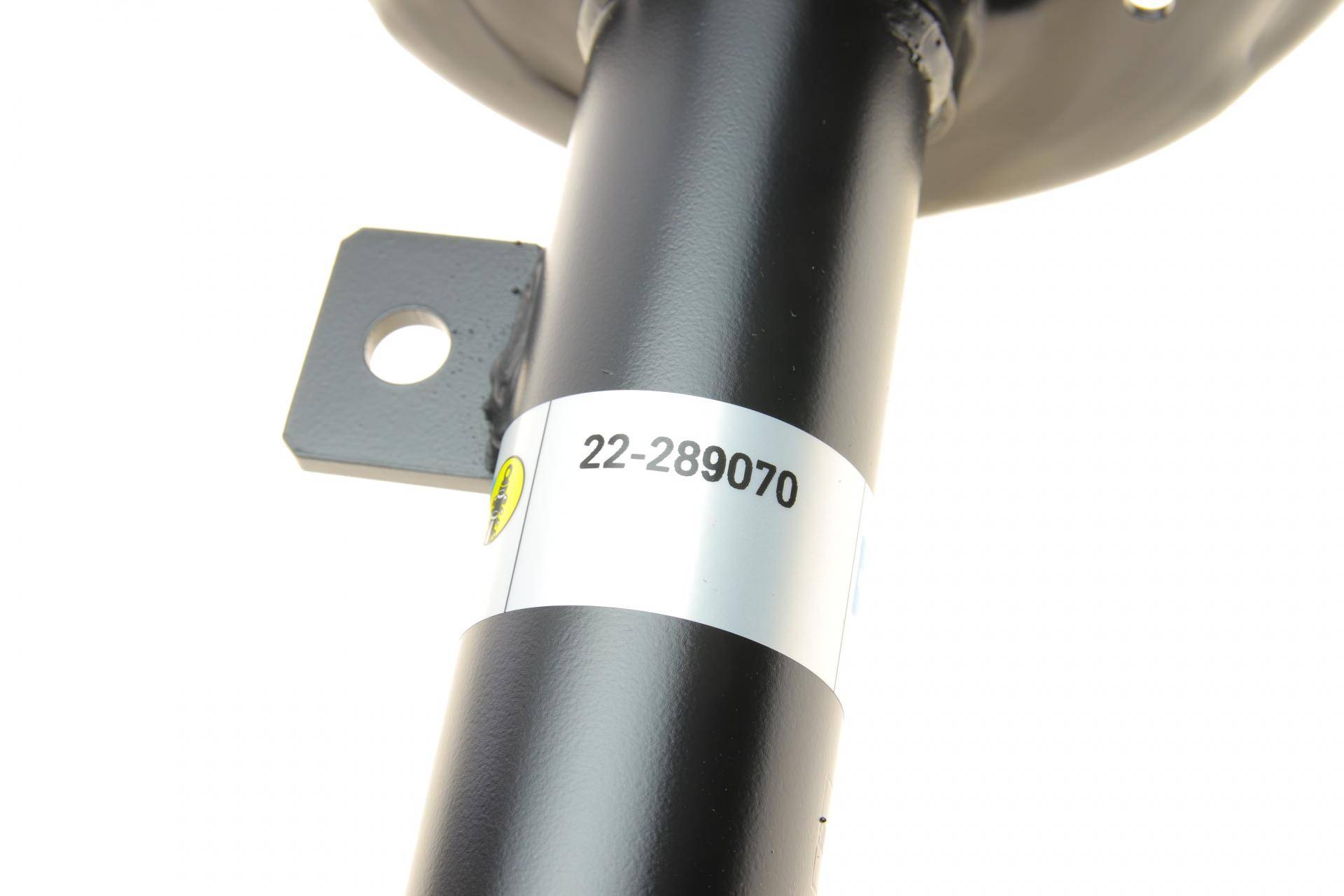 Амортизатор (передній) (R) Renault Koleos II 2.0 dCi 16- (B4)