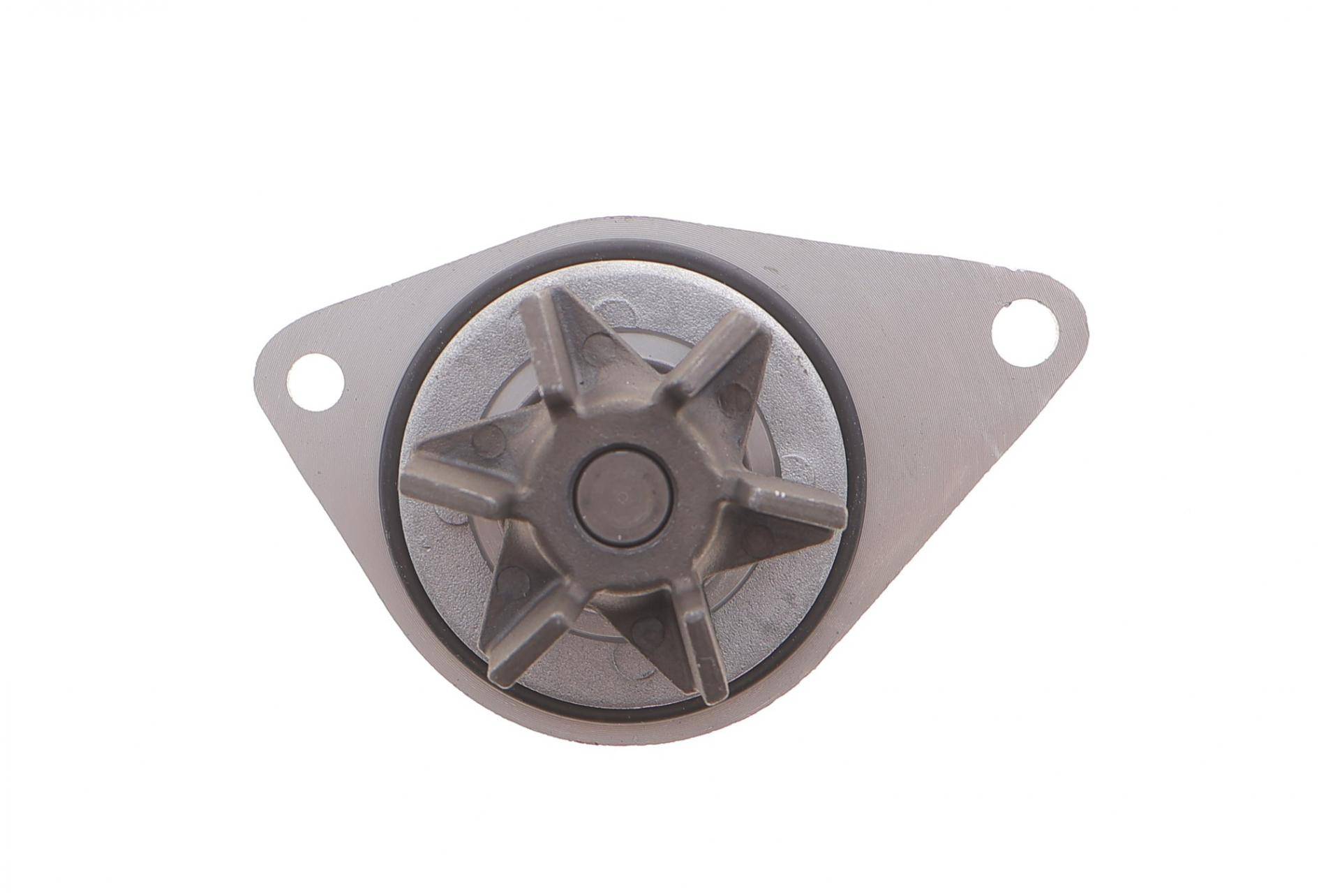 Комплект ГРМ + помпа Citroen Berlingo/Peugeot Partner 1.1i 96-08 (17x100z)