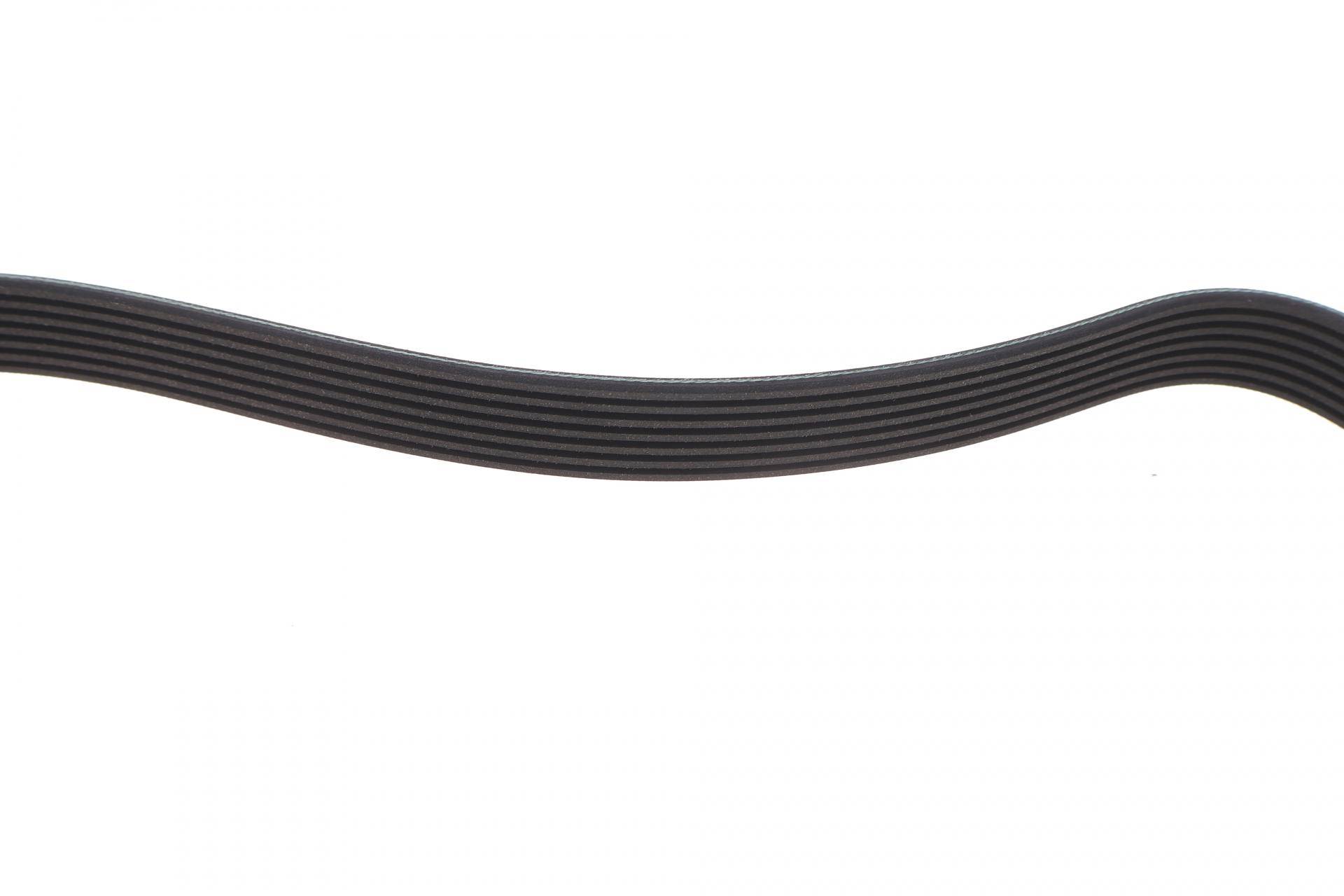 Ремінь генератора Ford Scorpio II/Toyota Camry 2.4i/3.5i 94-