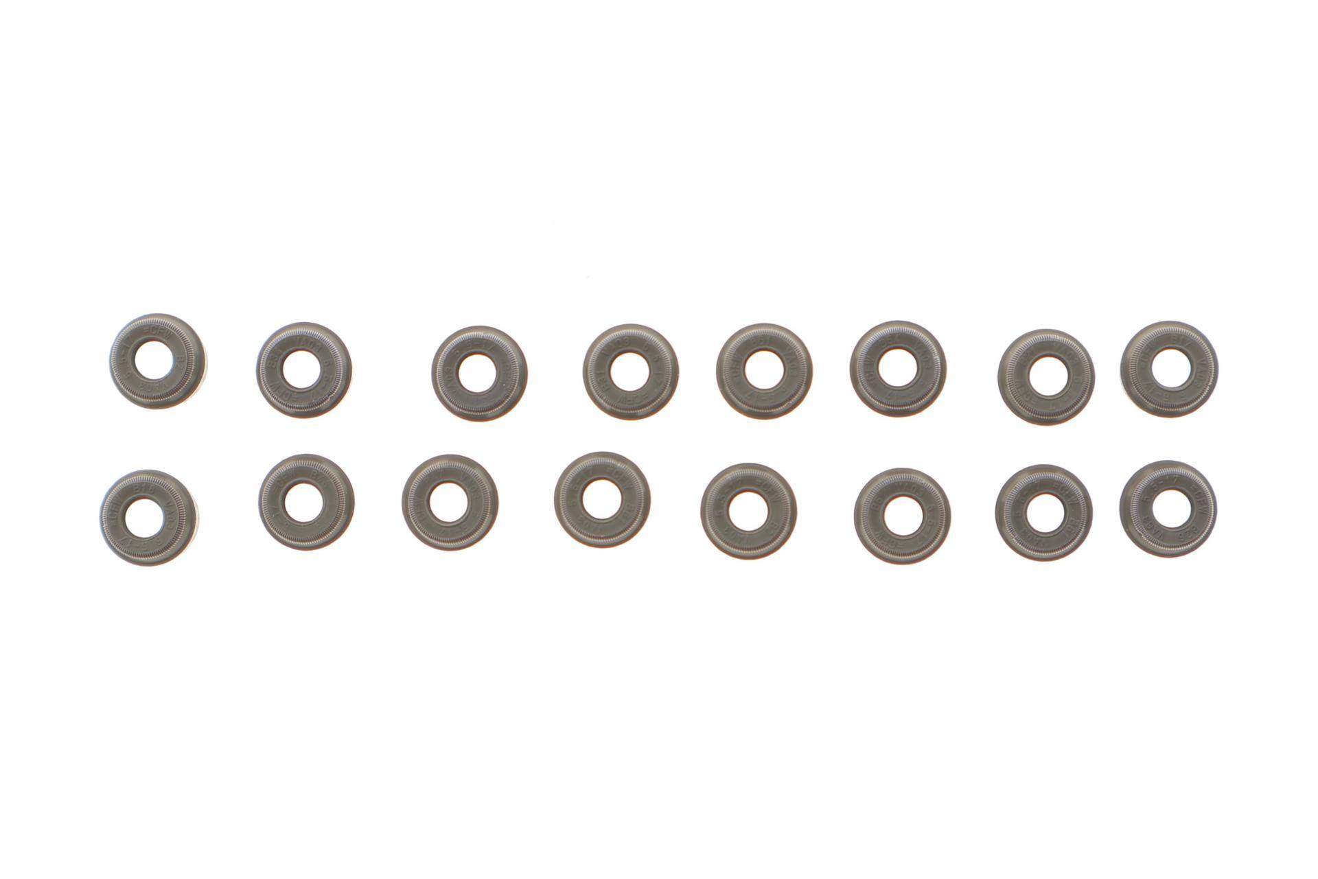 Сальник клапана (впуск/випуск) Renault Kangoo 1.2 16V 01- (к-кт 16шт)