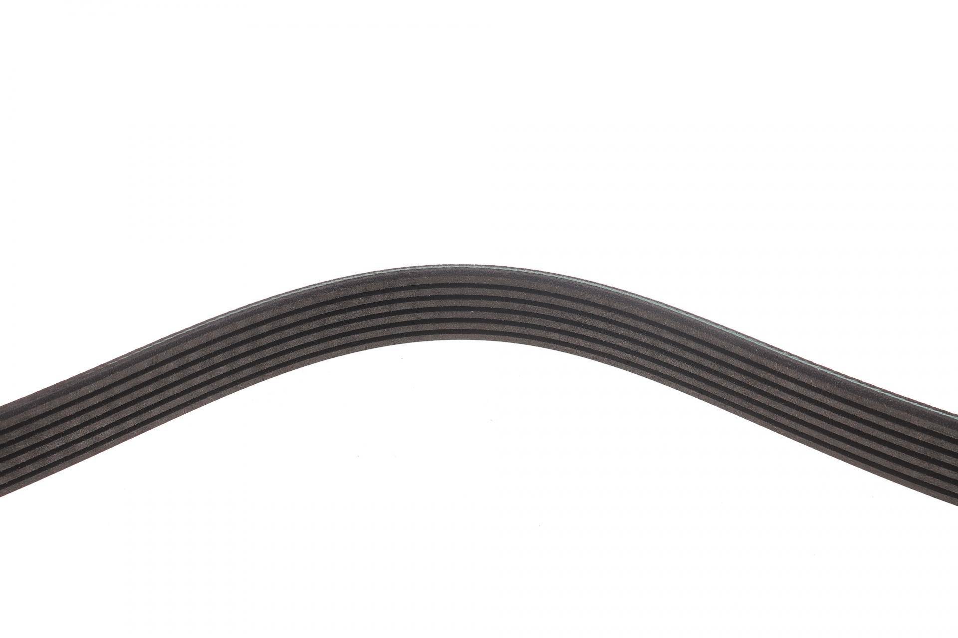 Ремінь генератора VW Caddy/T5 1.9TDI/2.0SDI 04-10/Renault Laguna/Megane/Trafic 1.9dTi/dCi 96-01