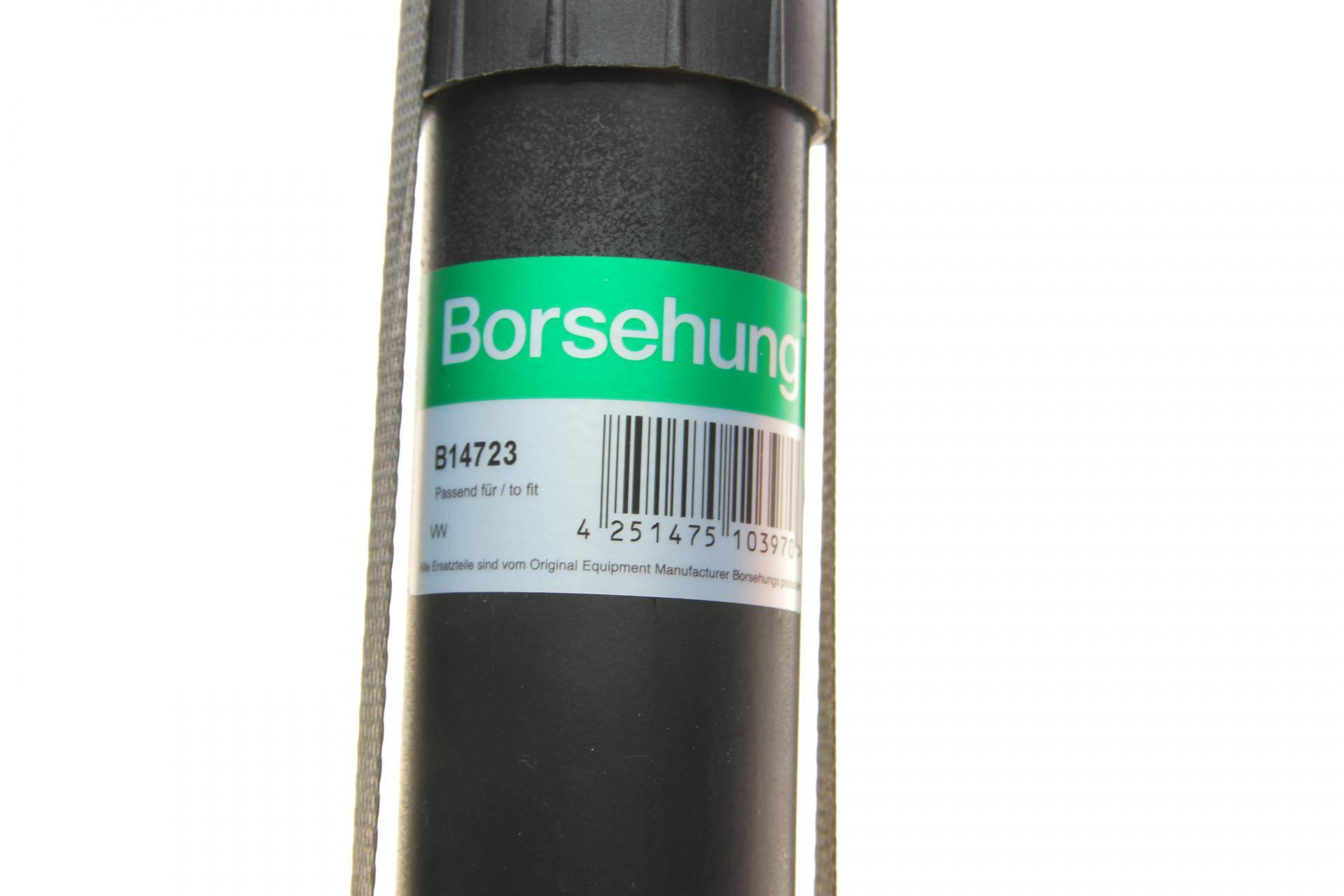 Амортизатор (задній) VW Passat CC 08-16