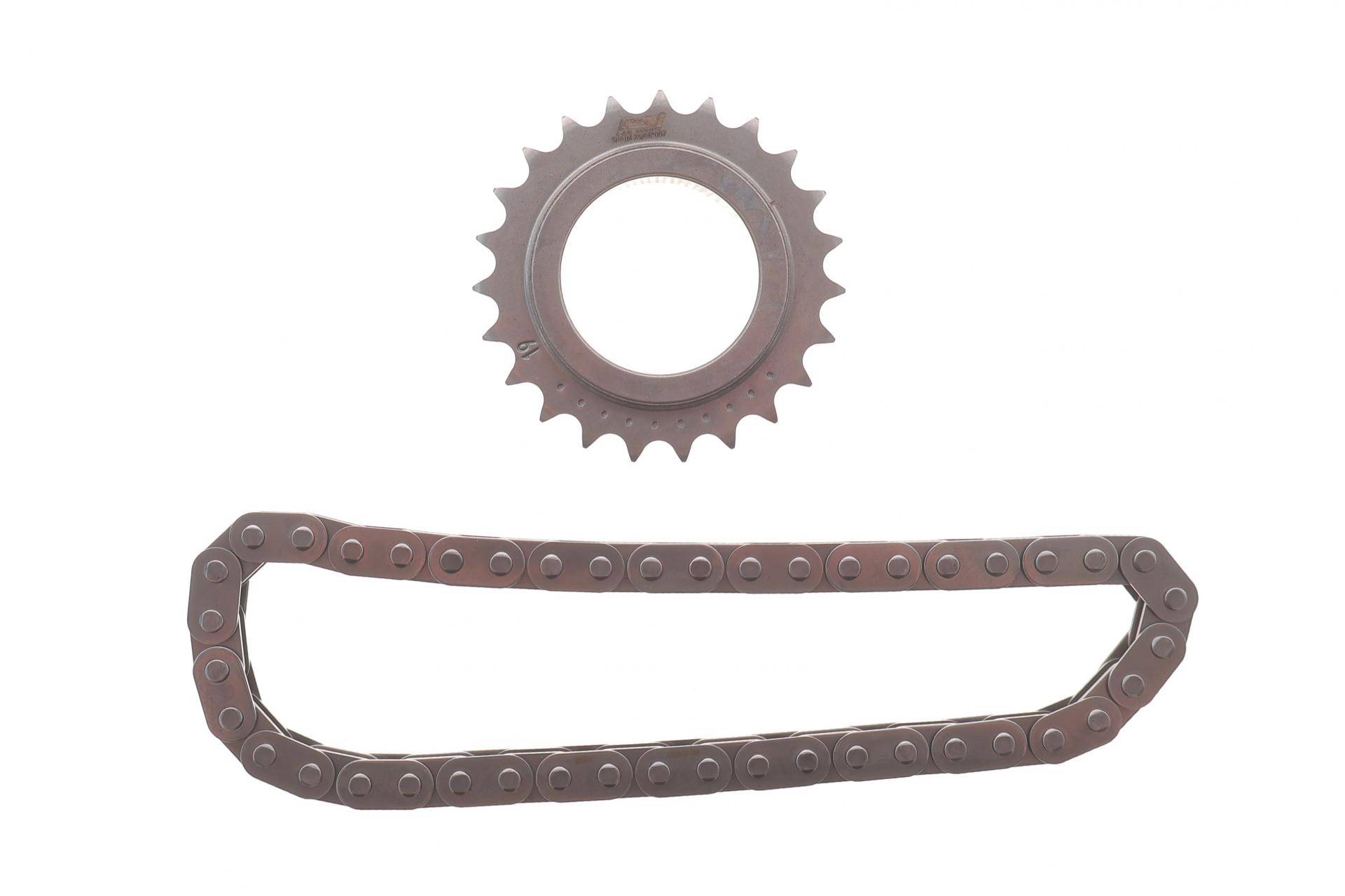 Комплект ланцюга насосу масляного Renault Trafic 2.0DCi 06- (ланцюг+шестерня)