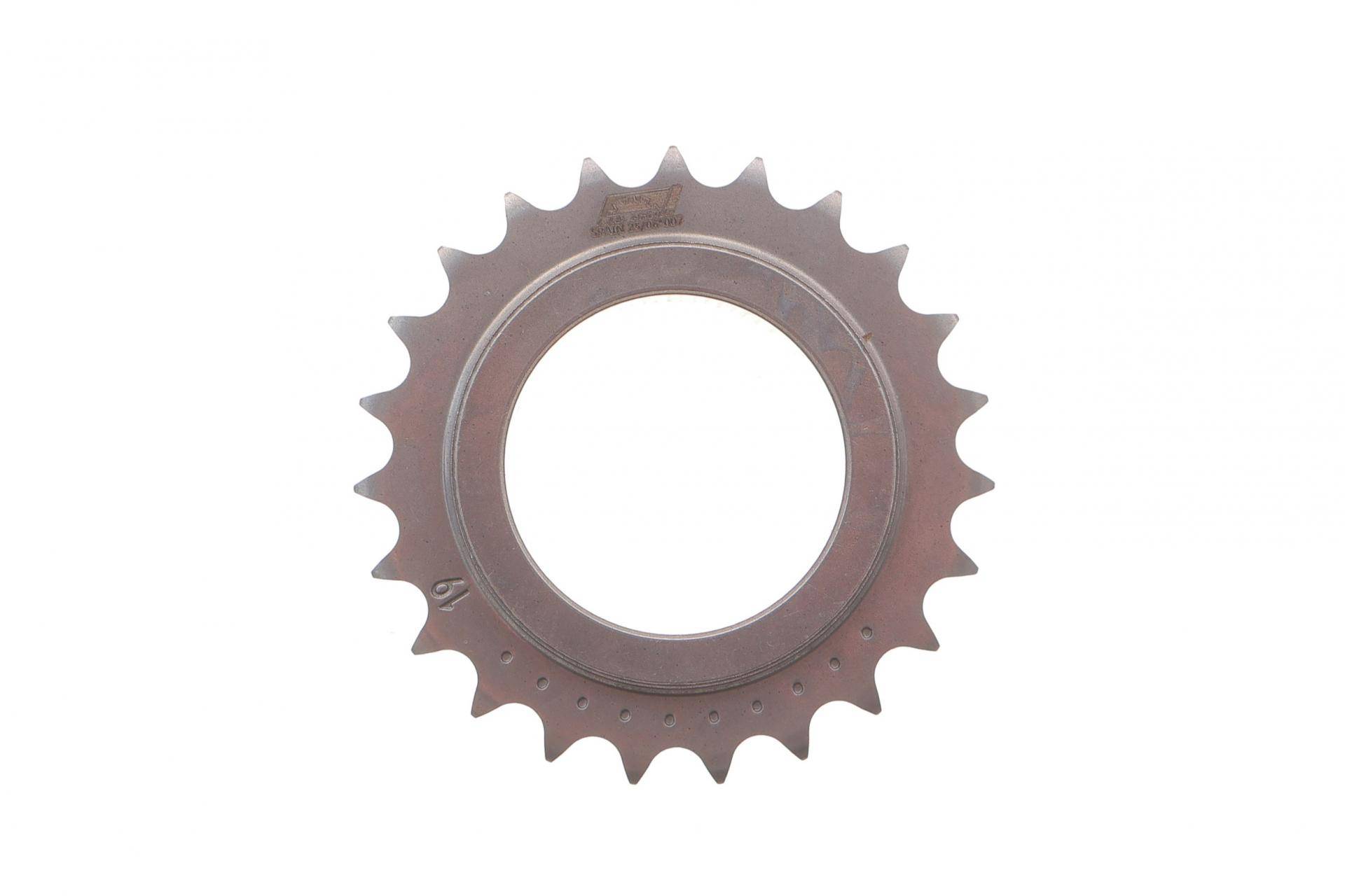 Комплект ланцюга насосу масляного Renault Trafic 2.0DCi 06- (ланцюг+шестерня)